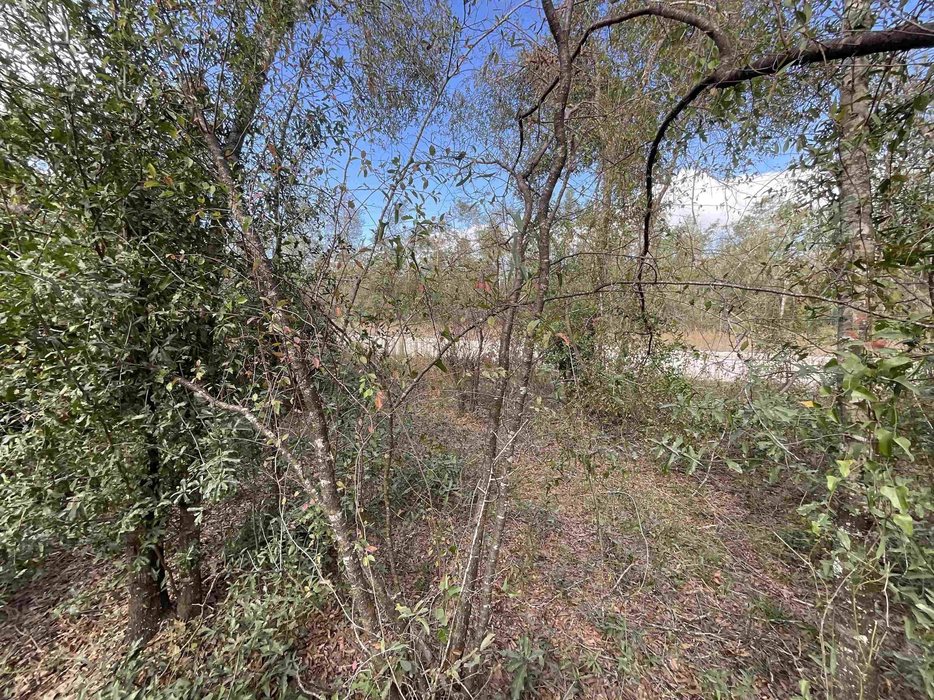 Vacant SE Trading Post Loop, Lee, Florida image 19