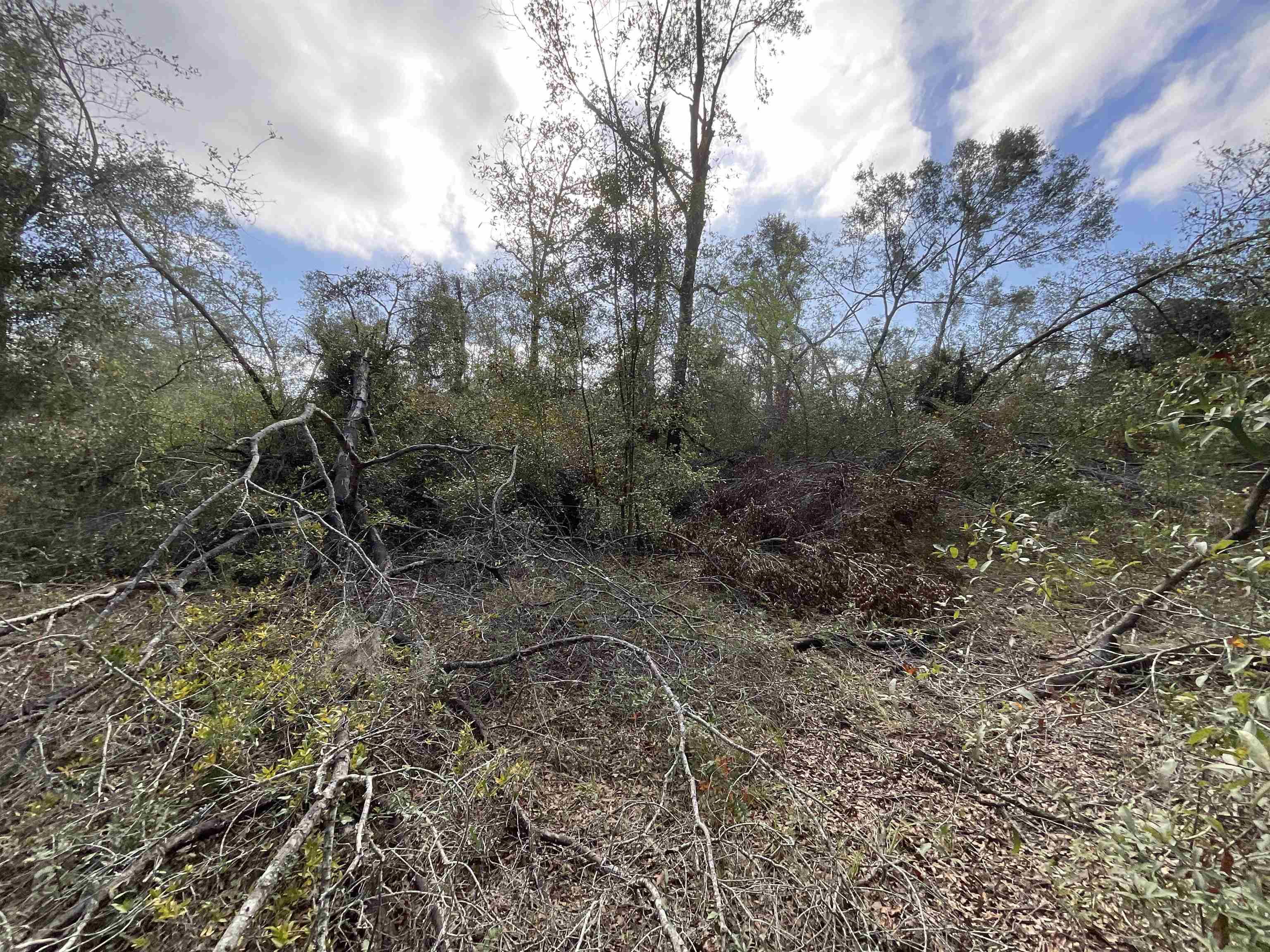 Vacant SE Trading Post Loop, Lee, Florida image 20