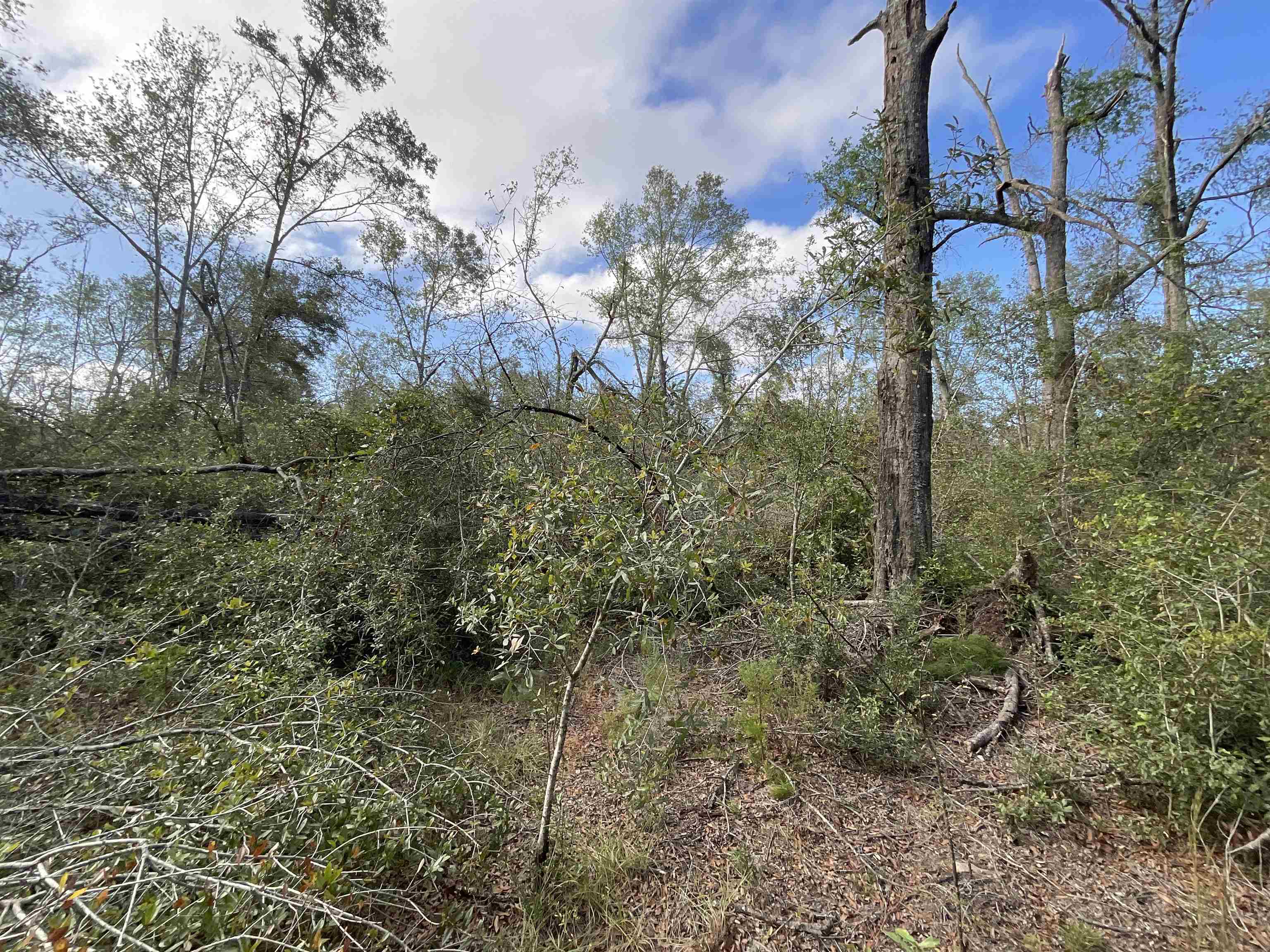 Vacant SE Trading Post Loop, Lee, Florida image 24