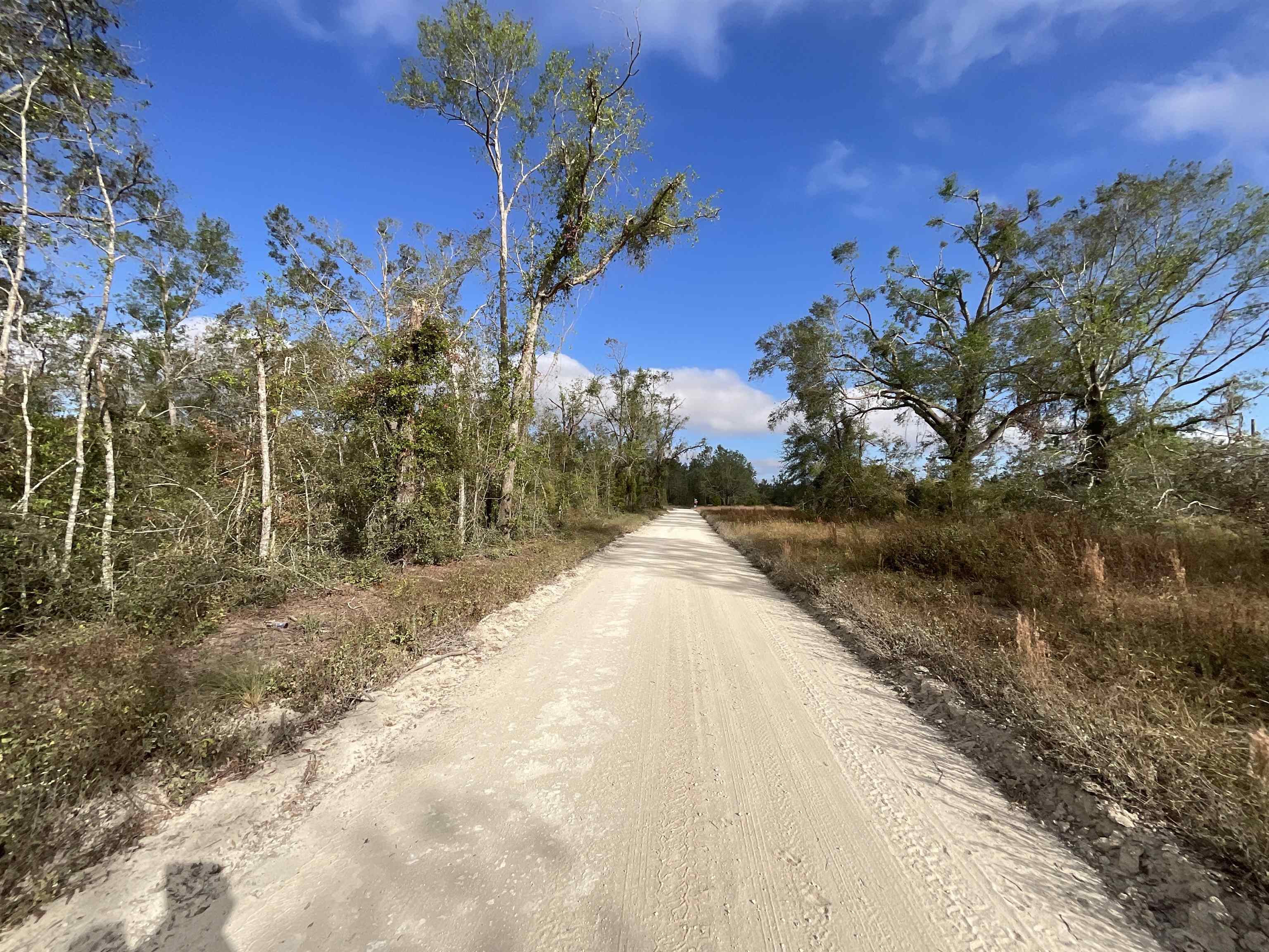 Vacant SE Trading Post Loop, Lee, Florida image 28