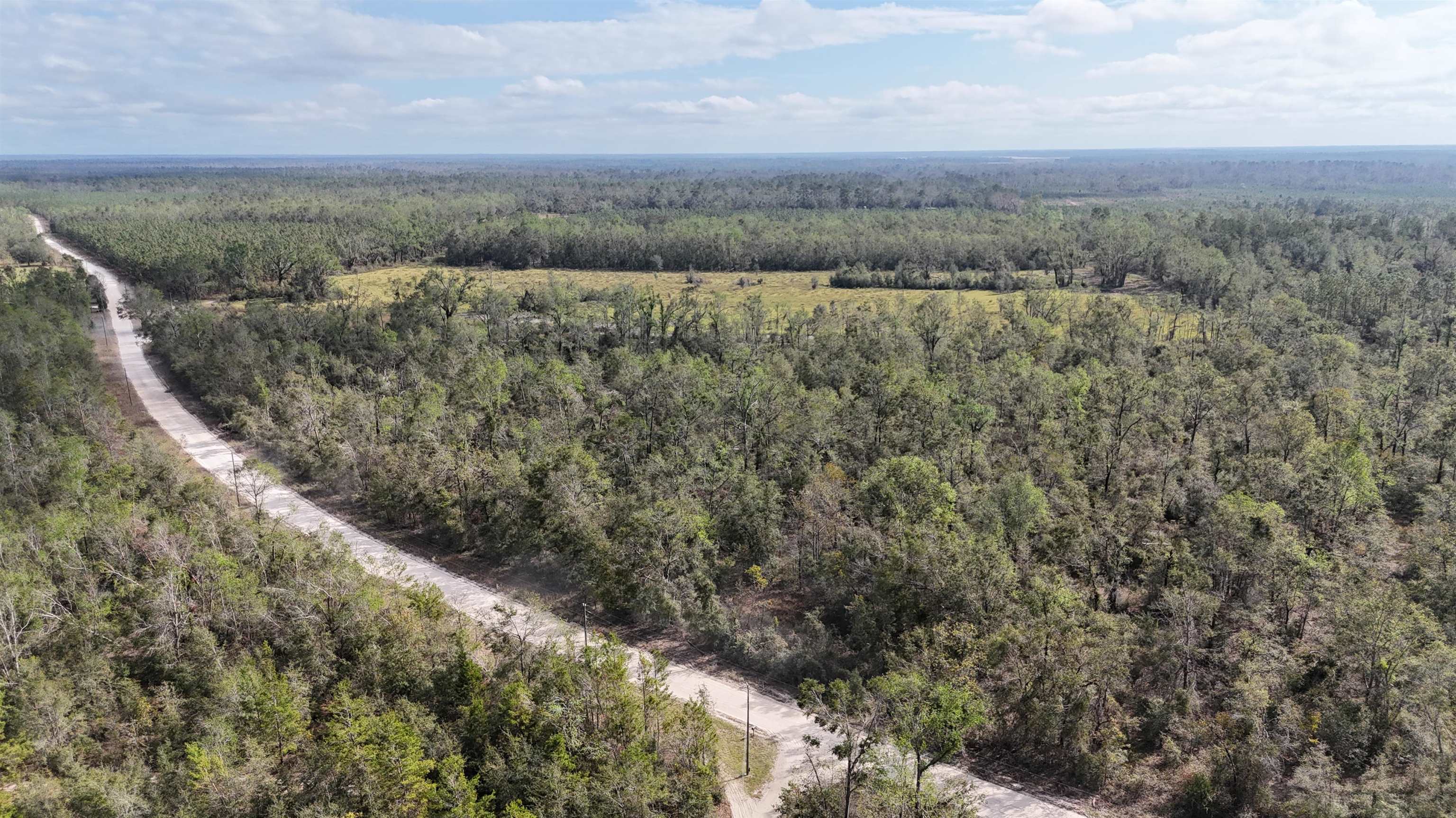 Vacant SE Trading Post Loop, Lee, Florida image 3