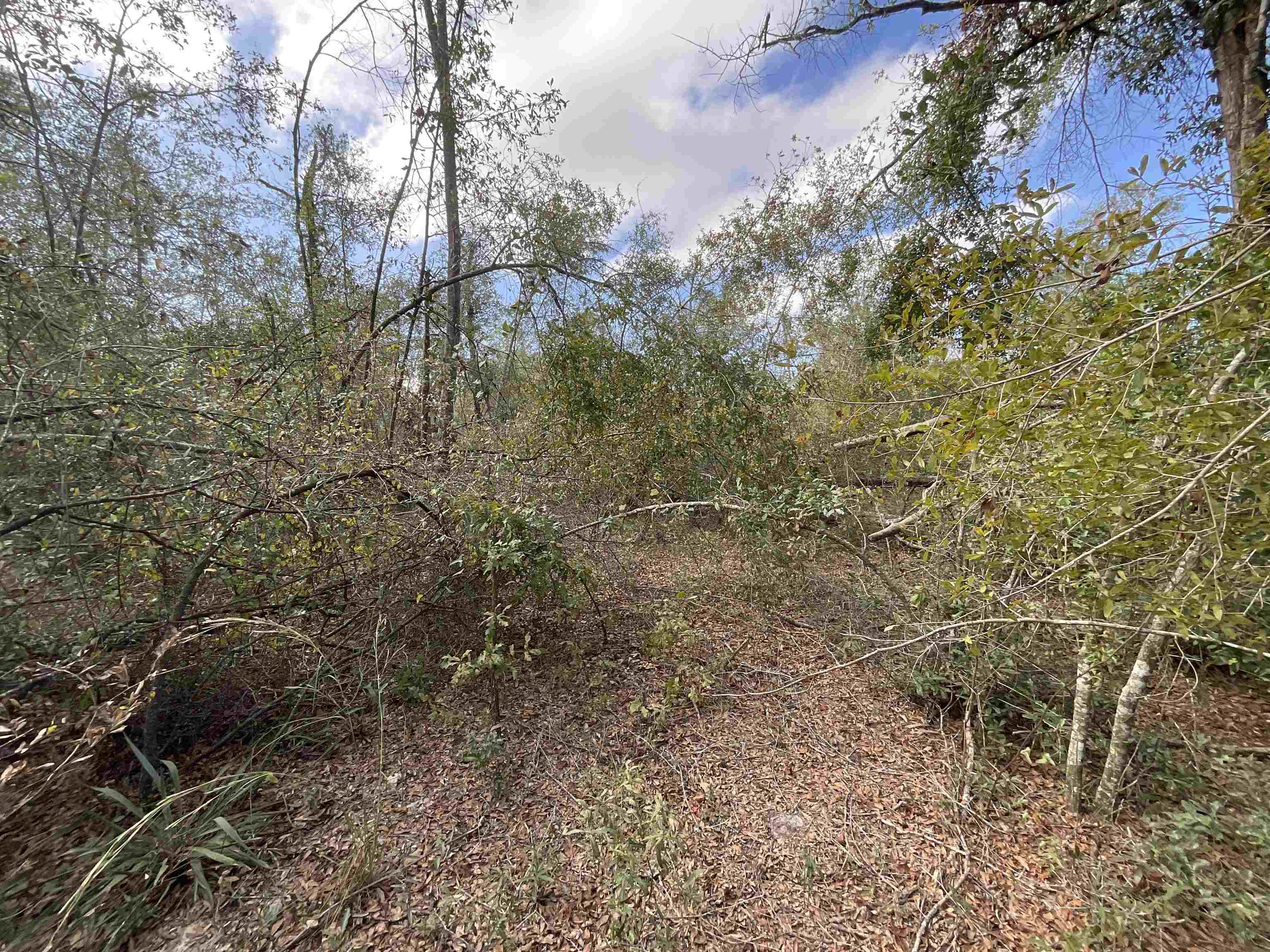 Vacant SE Trading Post Loop, Lee, Florida image 30