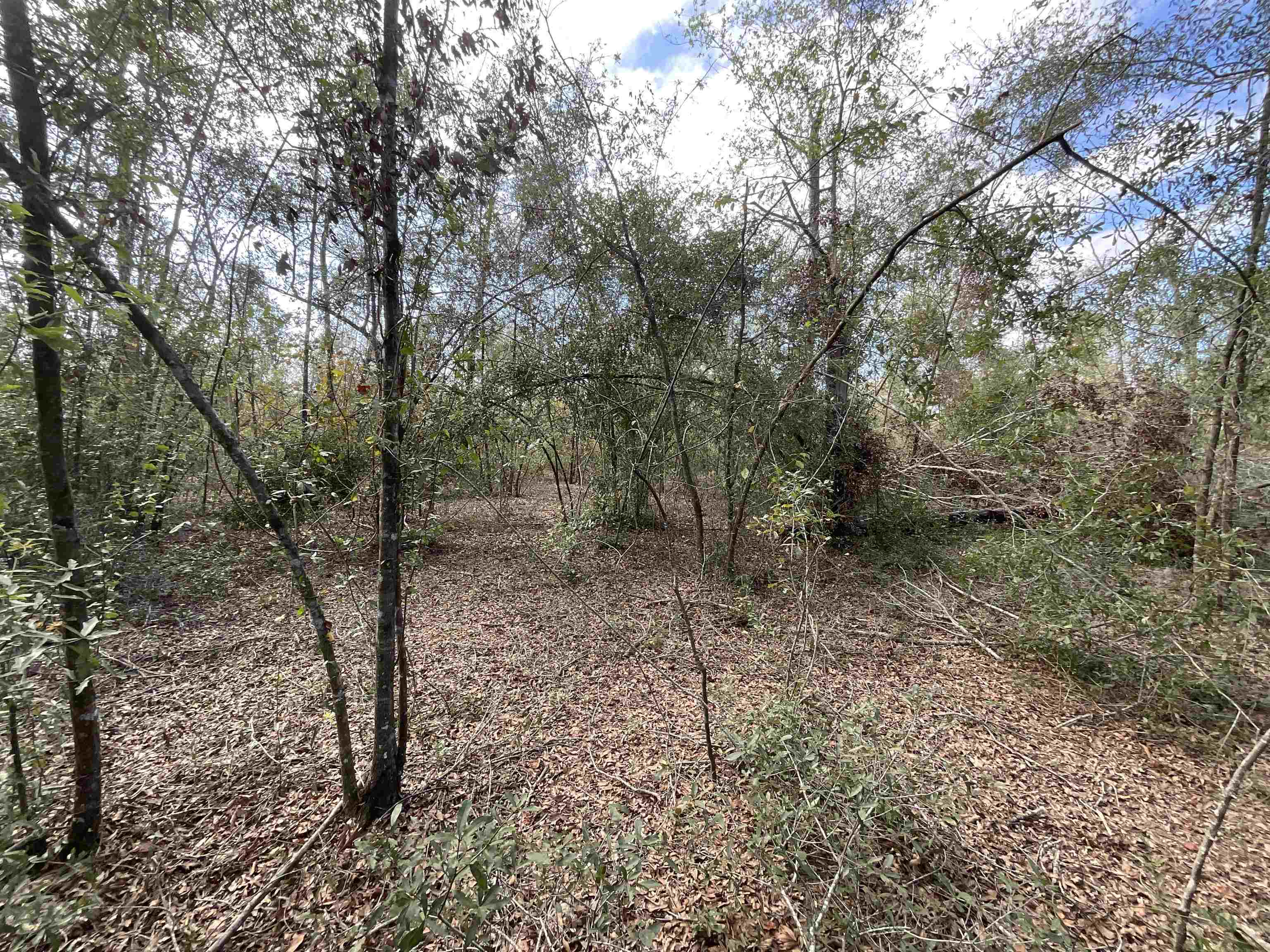 Vacant SE Trading Post Loop, Lee, Florida image 31