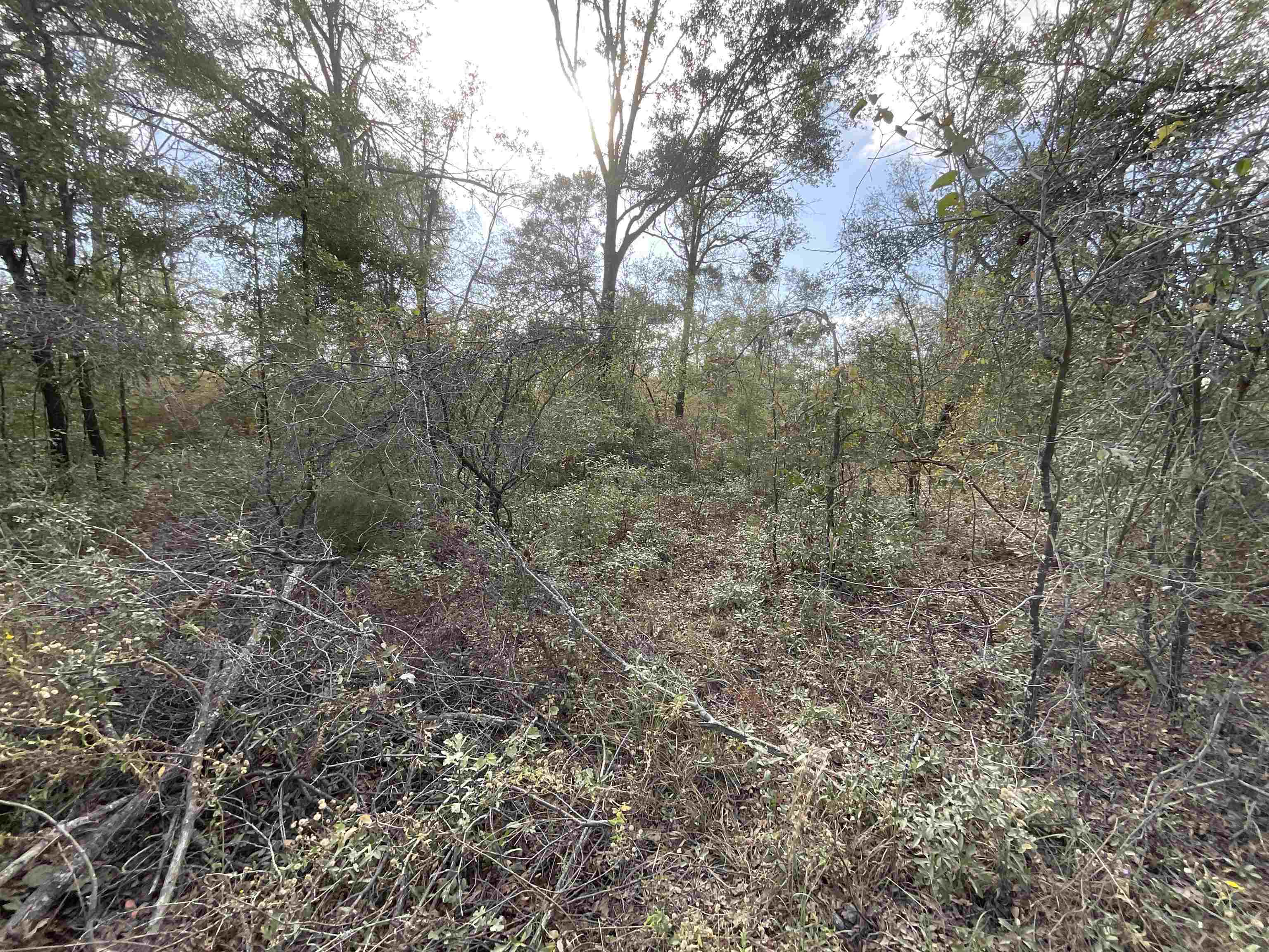 Vacant SE Trading Post Loop, Lee, Florida image 35