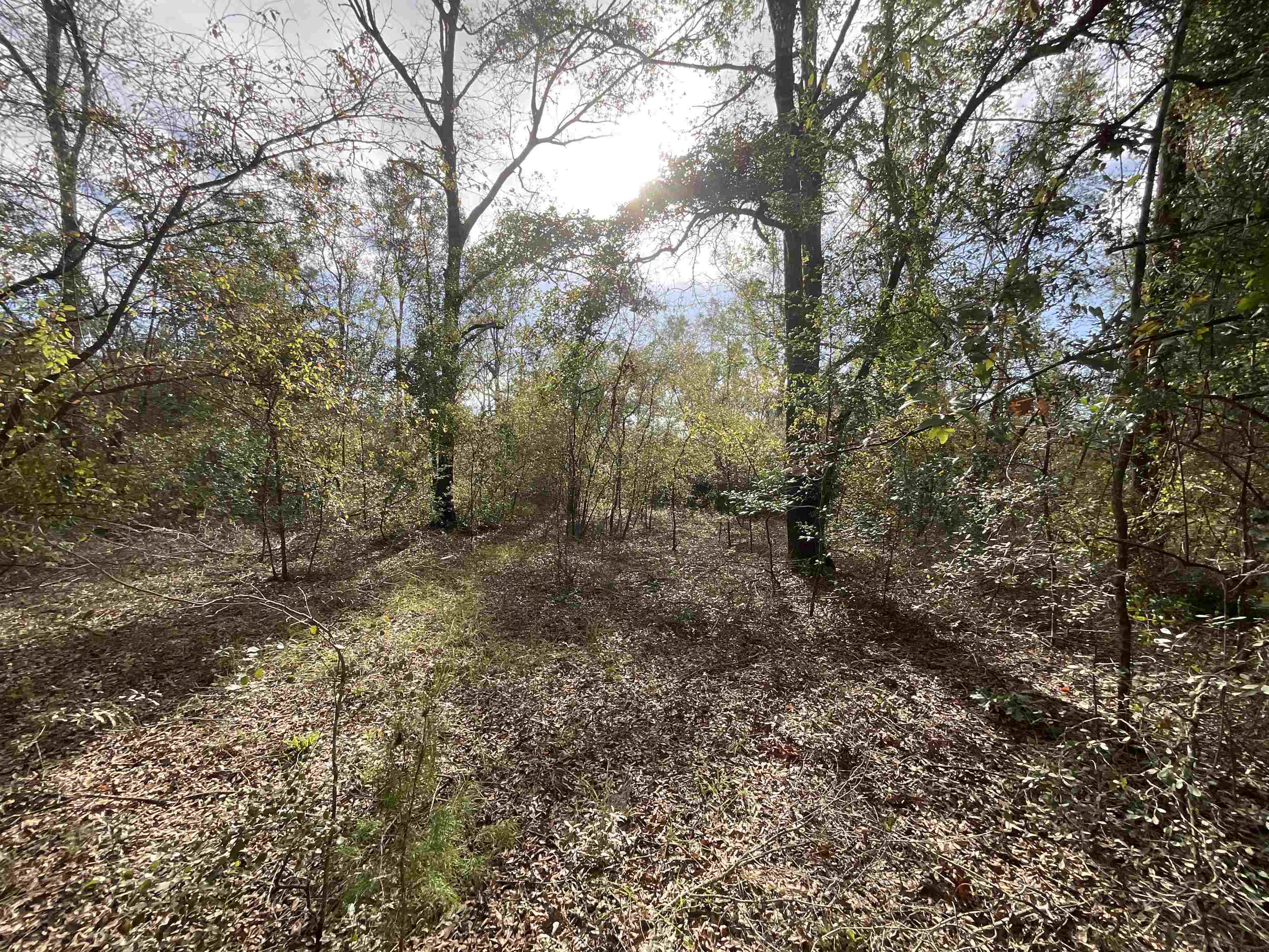 Vacant SE Trading Post Loop, Lee, Florida image 36