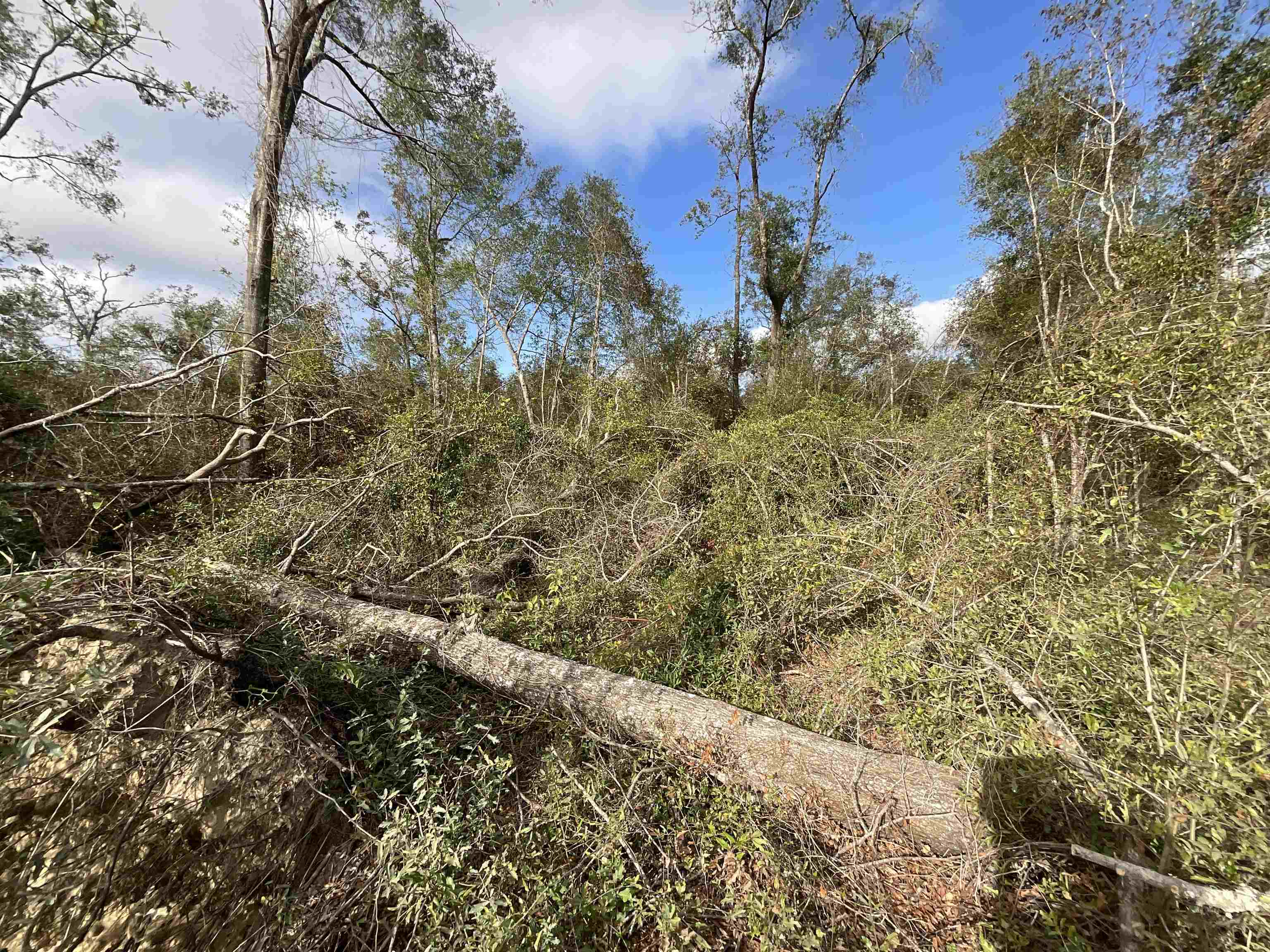 Vacant SE Trading Post Loop, Lee, Florida image 37