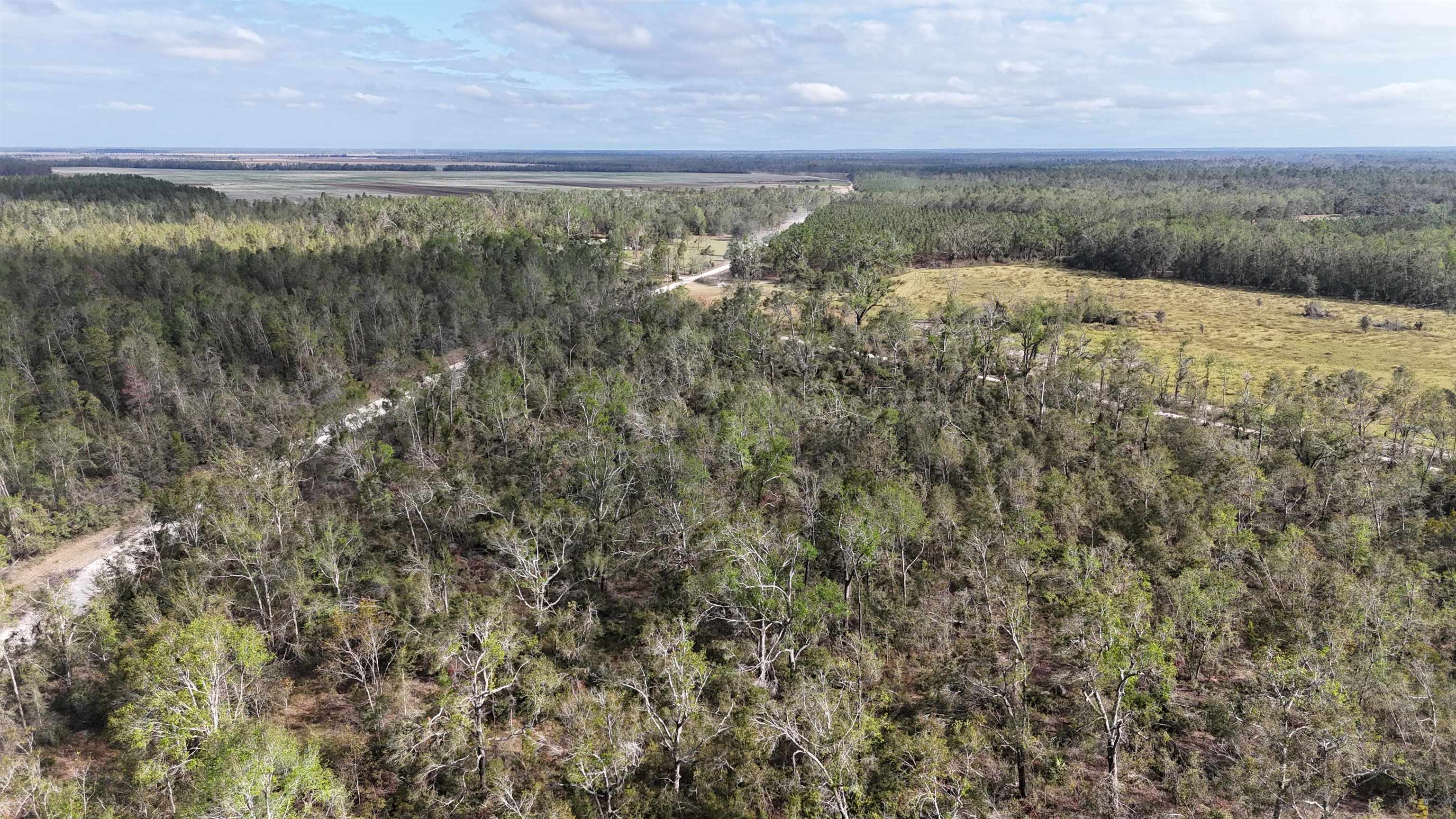 Vacant SE Trading Post Loop, Lee, Florida image 6