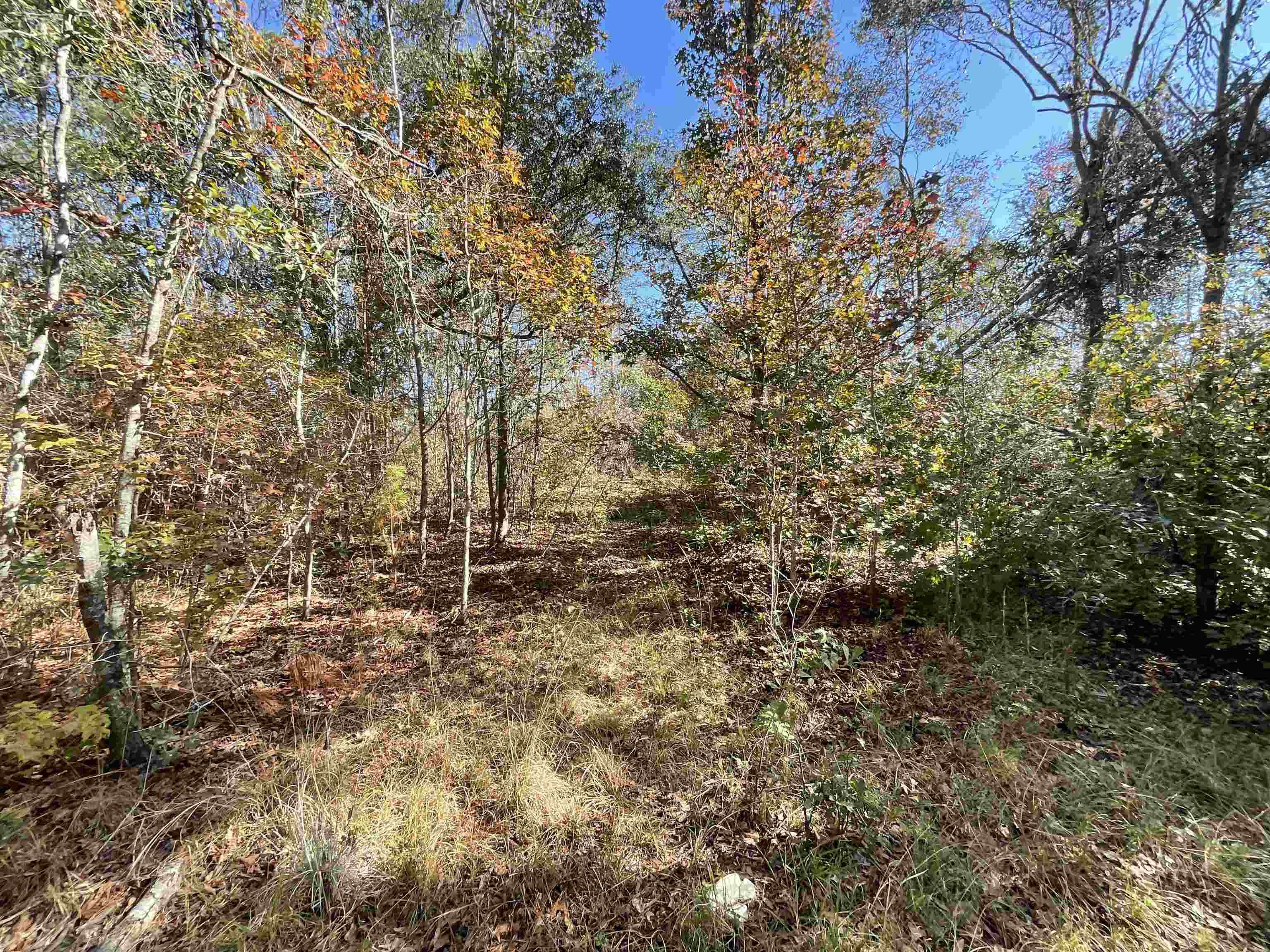 Vacant SW Moseley Hall Road, Lee, Florida image 13