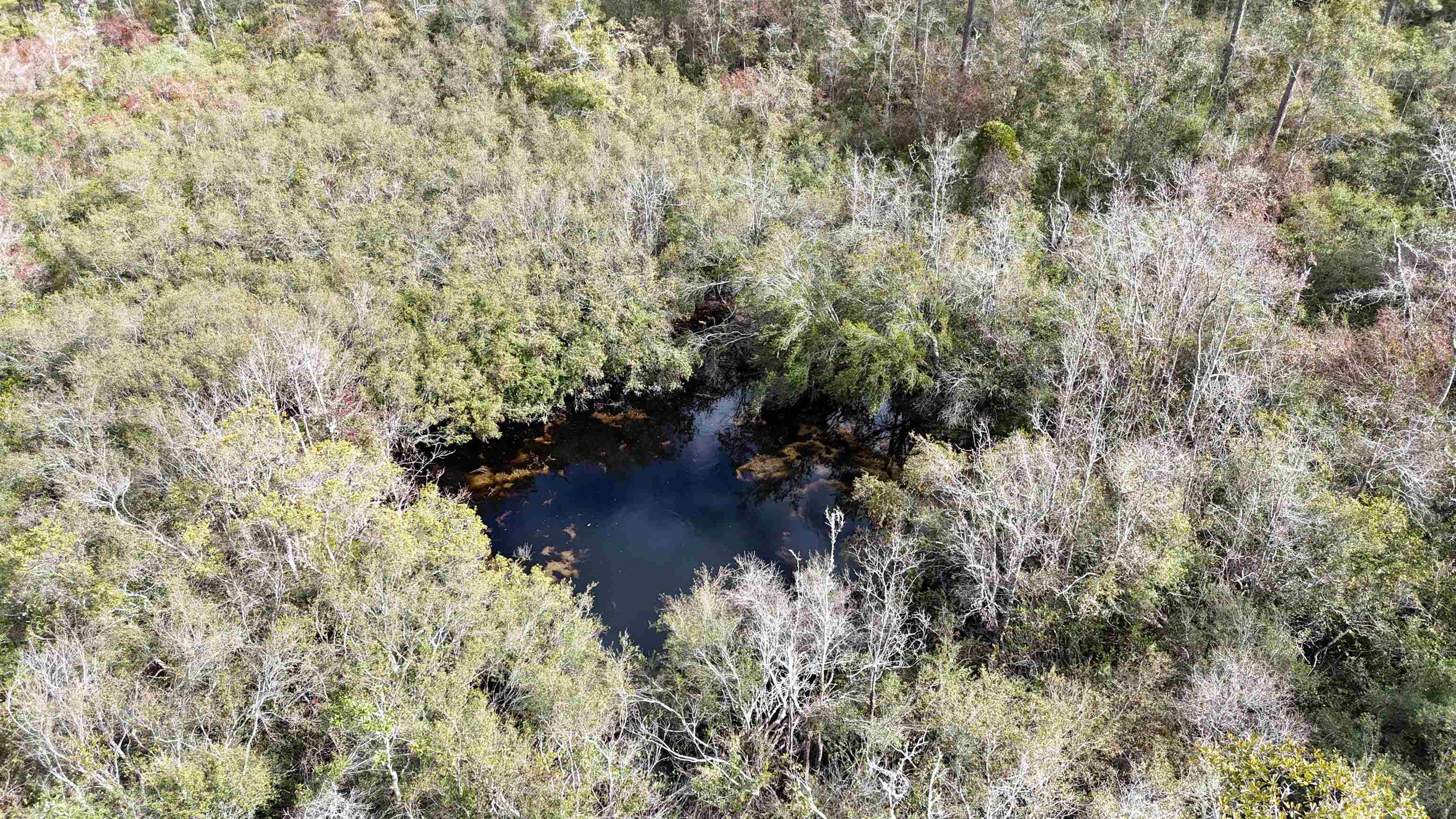 Vacant SW Moseley Hall Road, Lee, Florida image 29