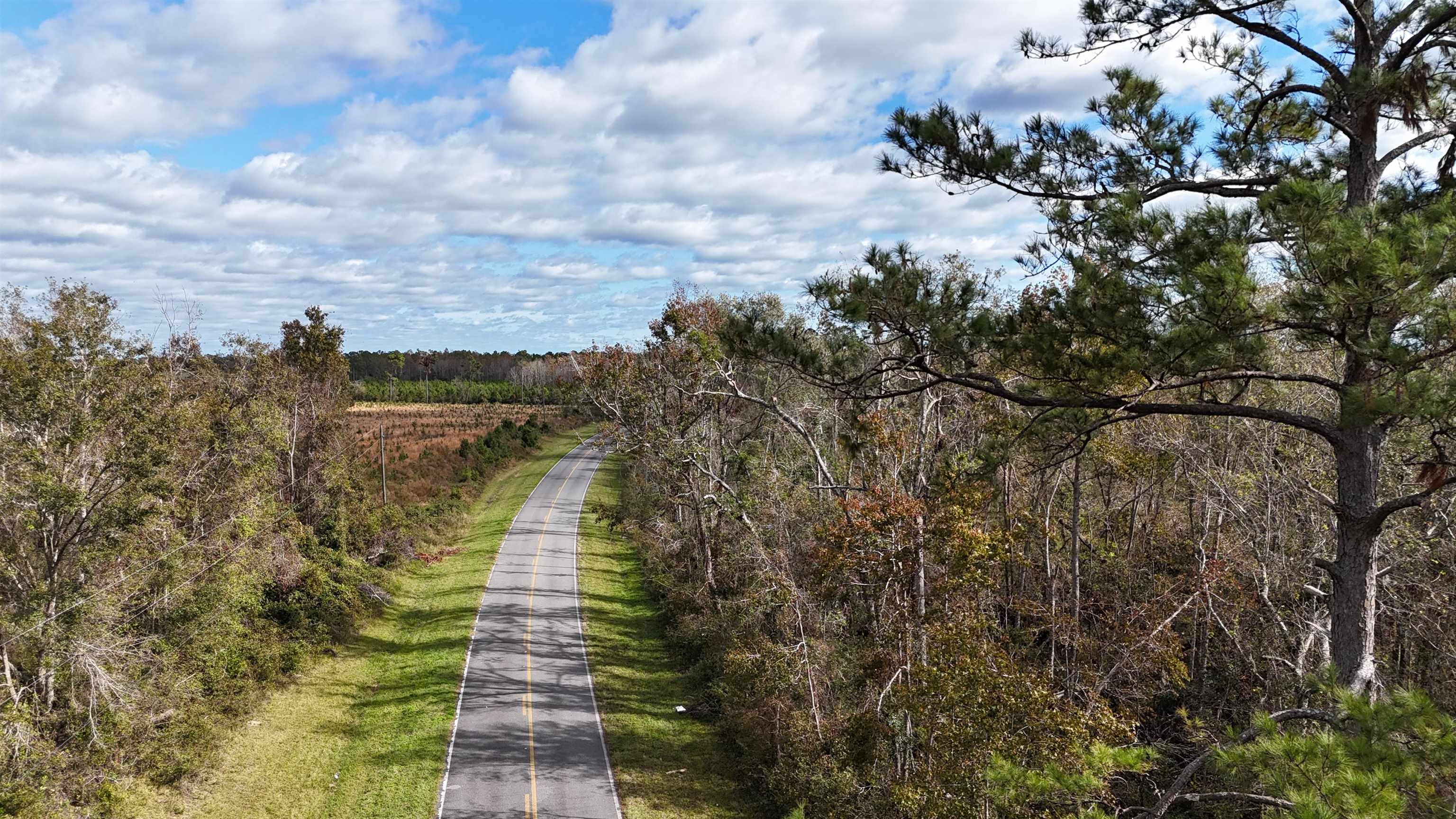 Vacant SW Moseley Hall Road, Lee, Florida image 3