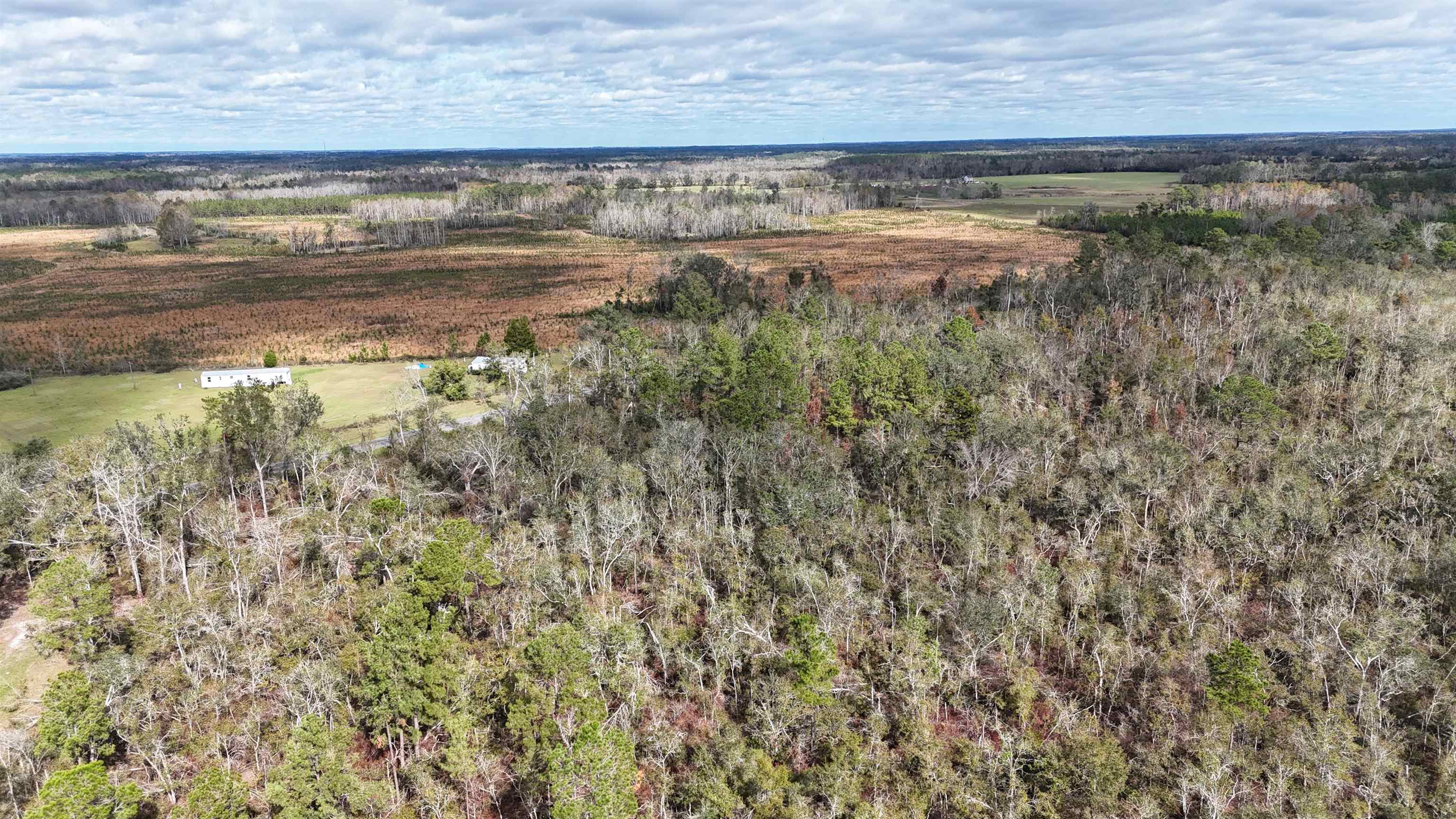 Vacant SW Moseley Hall Road, Lee, Florida image 4