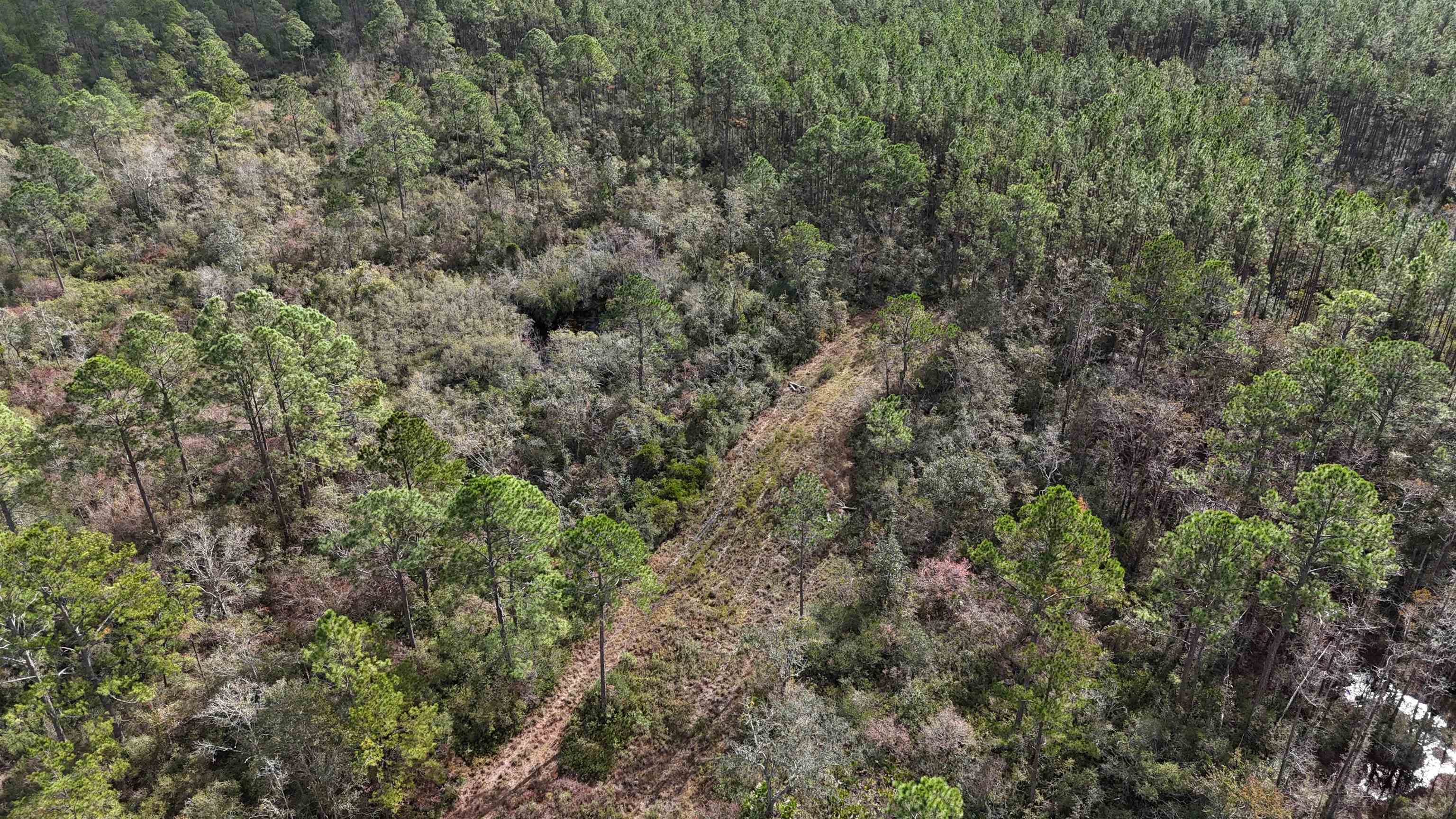 Vacant SW Moseley Hall Road, Lee, Florida image 41