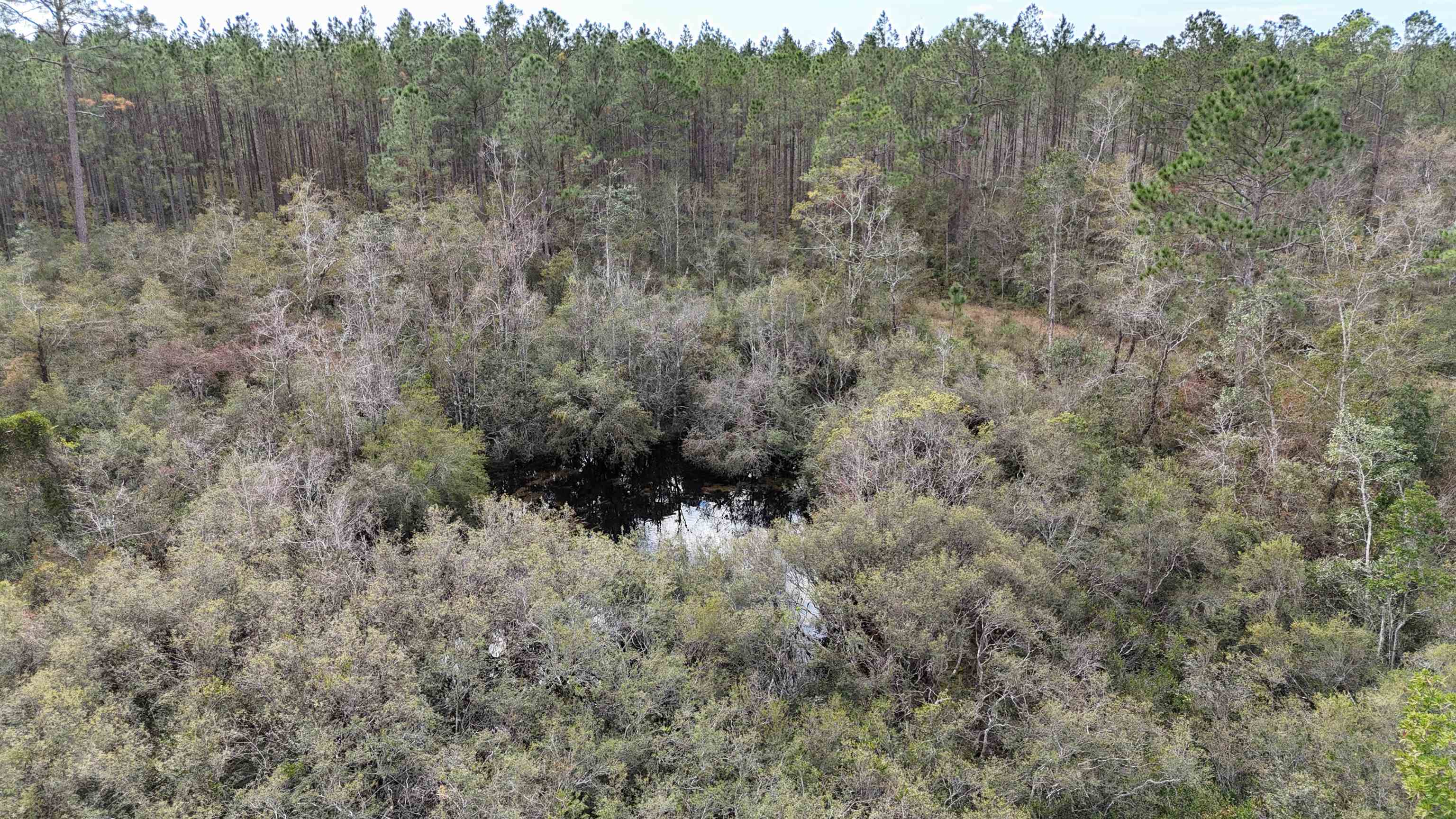 Vacant SW Moseley Hall Road, Lee, Florida image 42