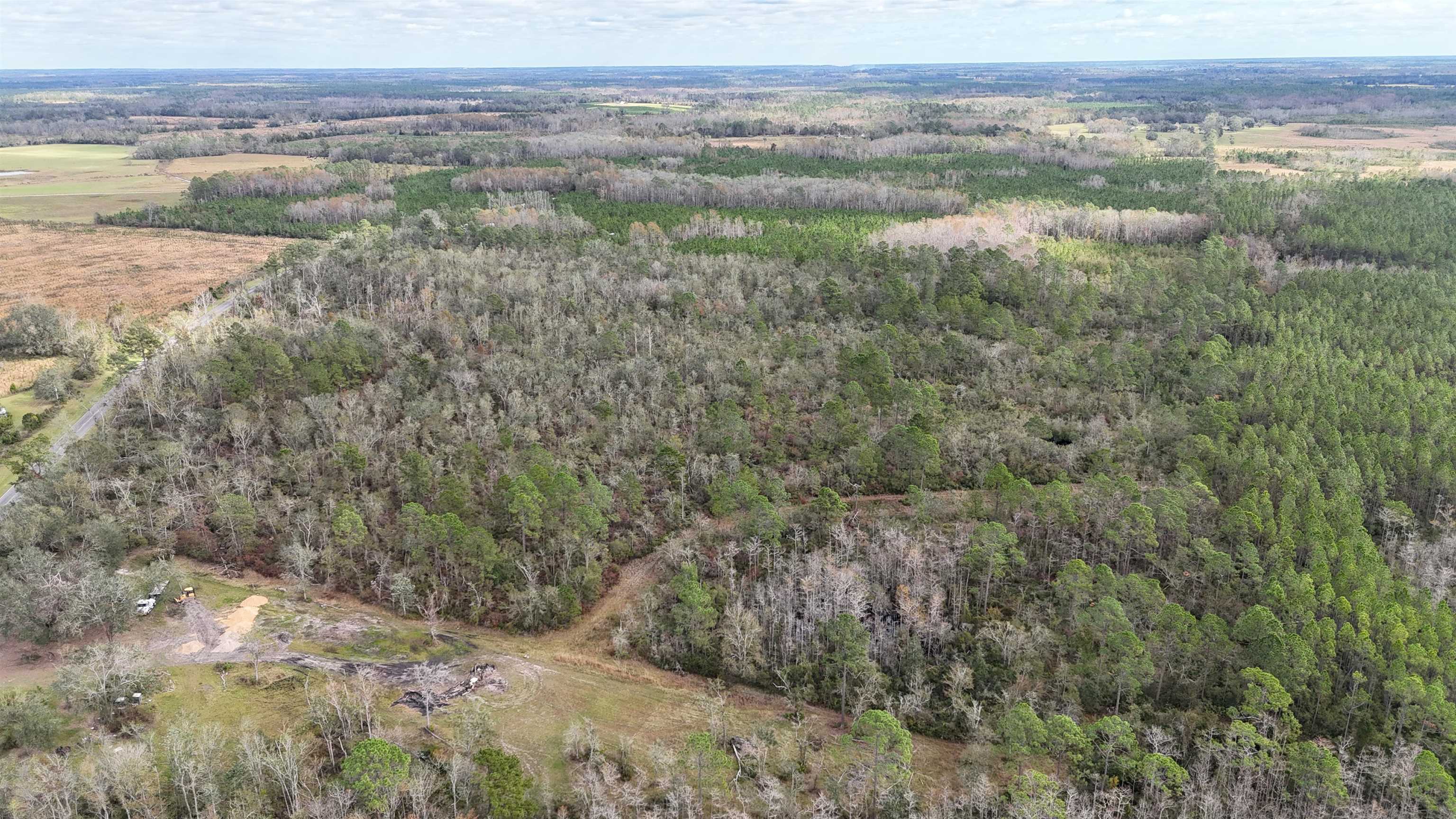 Vacant SW Moseley Hall Road, Lee, Florida image 5