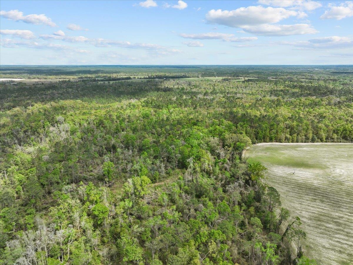 NW Jennings Bluff Road, Jasper, Florida image 15