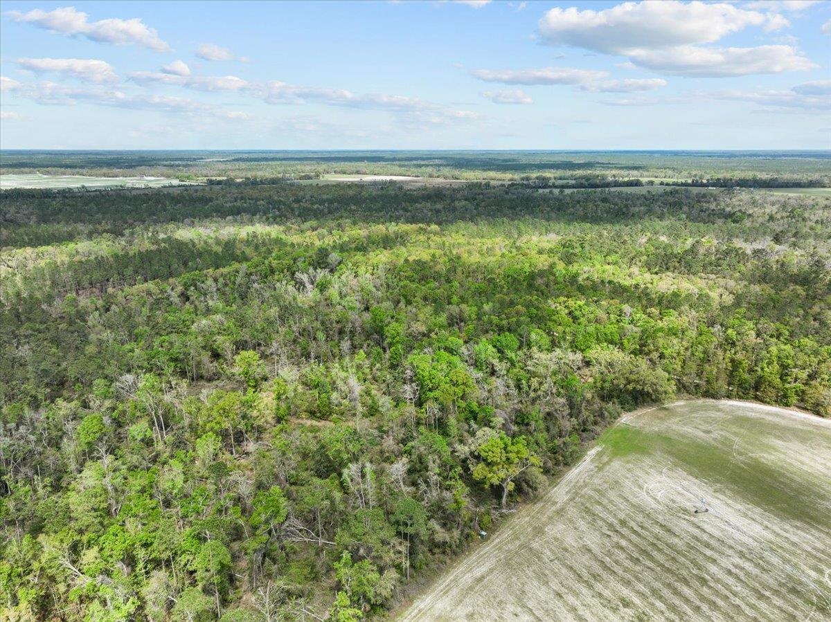 NW Jennings Bluff Road, Jasper, Florida image 16