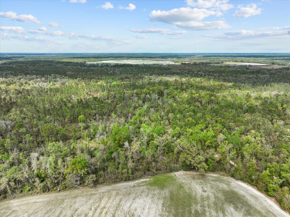 NW Jennings Bluff Road, Jasper, Florida image 17