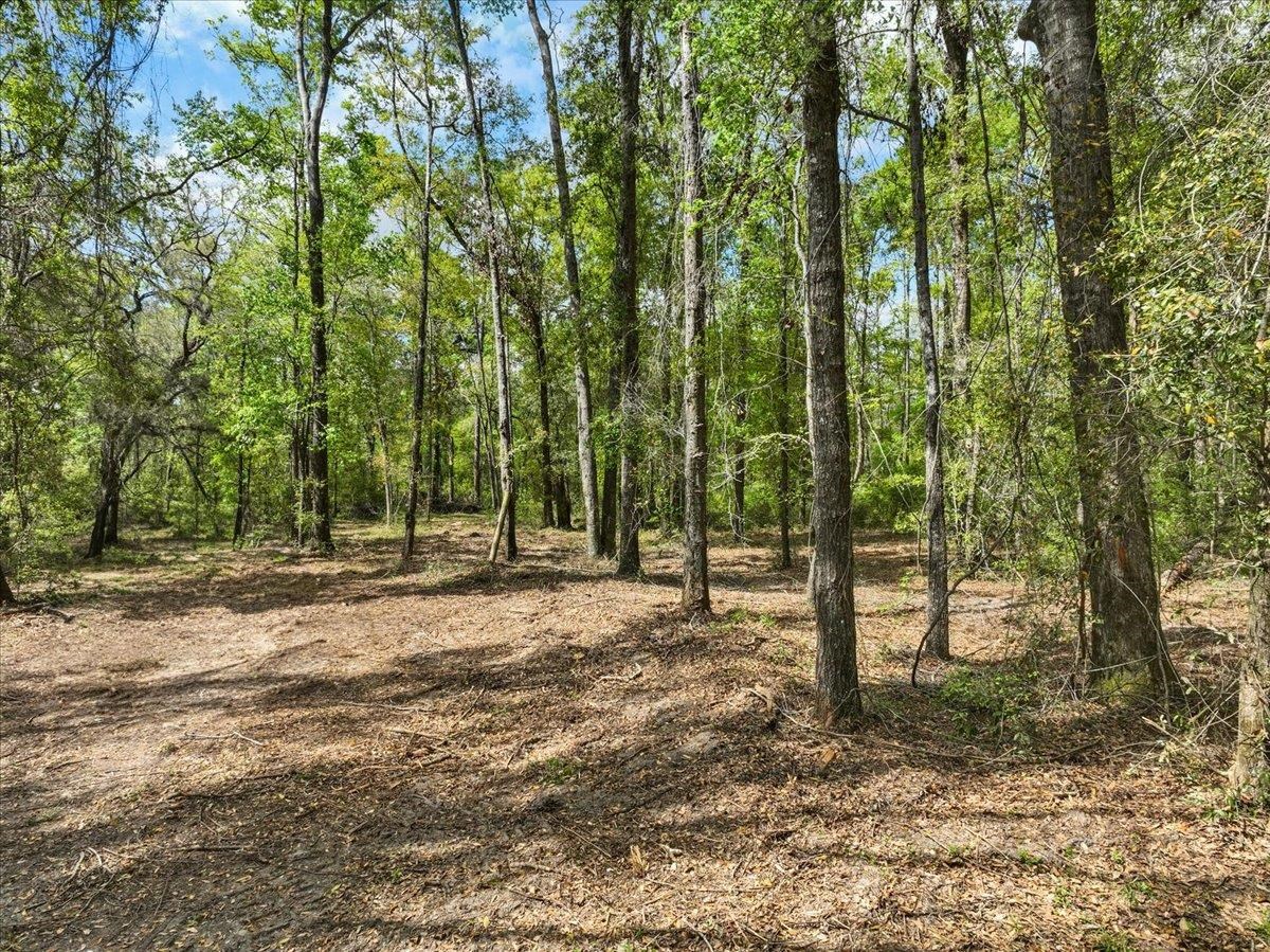 NW Jennings Bluff Road, Jasper, Florida image 18