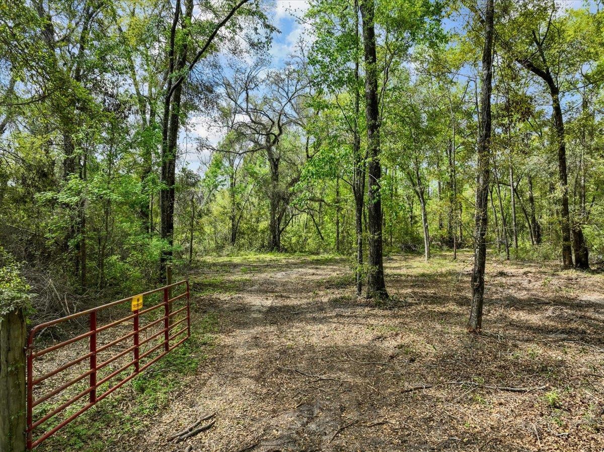 NW Jennings Bluff Road, Jasper, Florida image 2