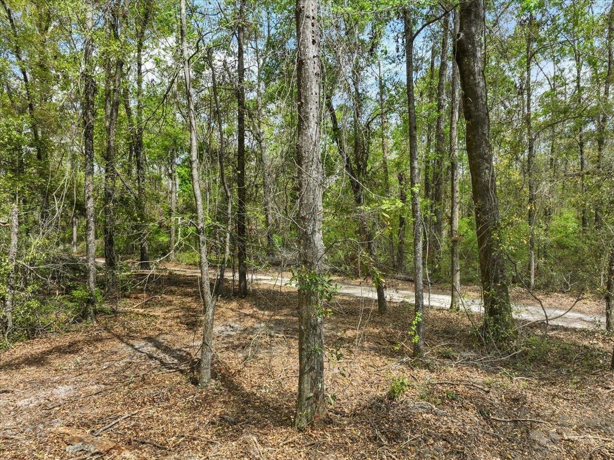 NW Jennings Bluff Road, Jasper, Florida image 4