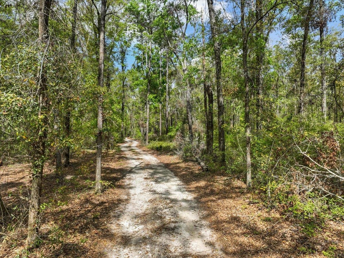 NW Jennings Bluff Road, Jasper, Florida image 6