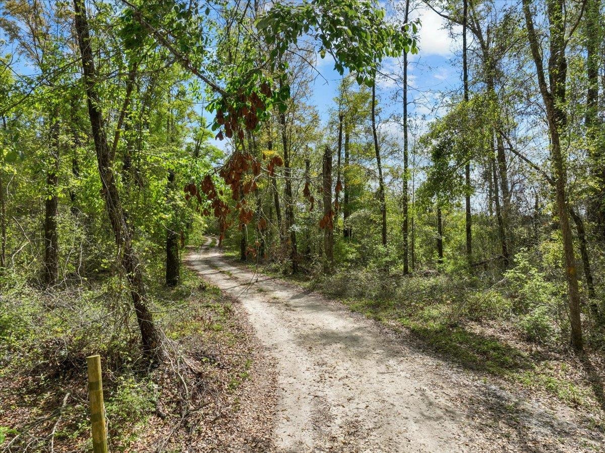 NW Jennings Bluff Road, Jasper, Florida image 7