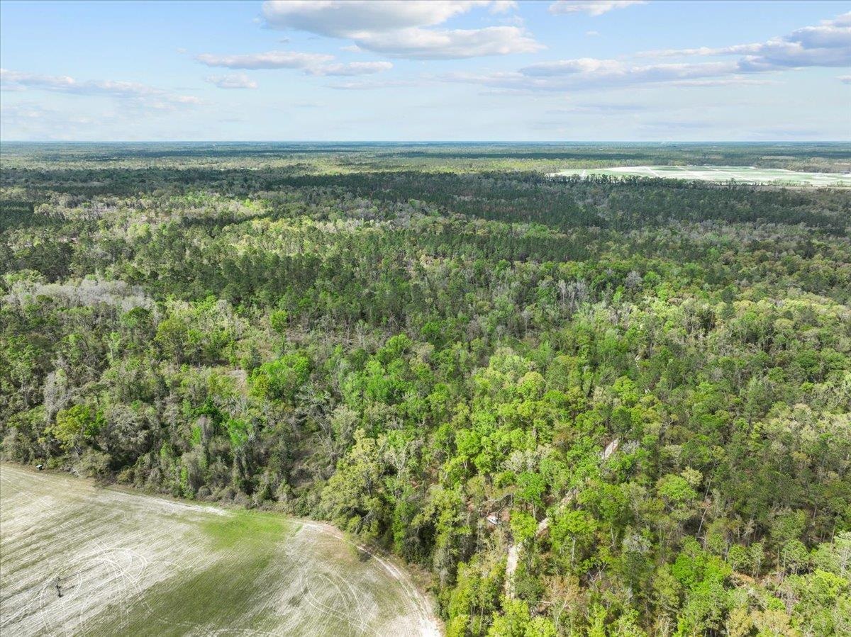 NW Jennings Bluff Road, Jasper, Florida image 9