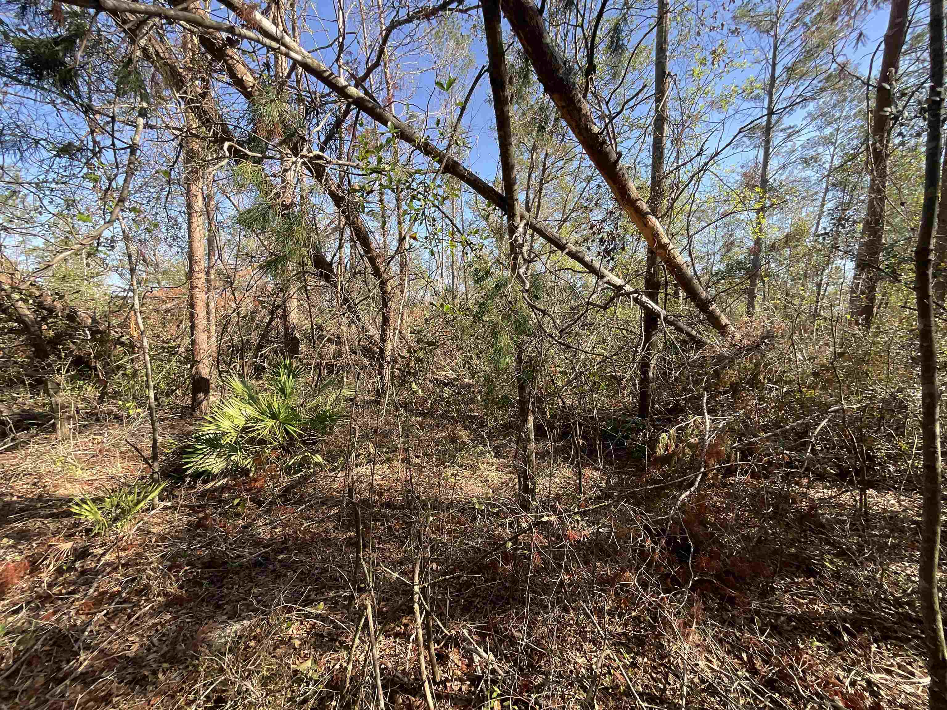 Vacant SE Blackhawk Drive, Lee, Florida image 14