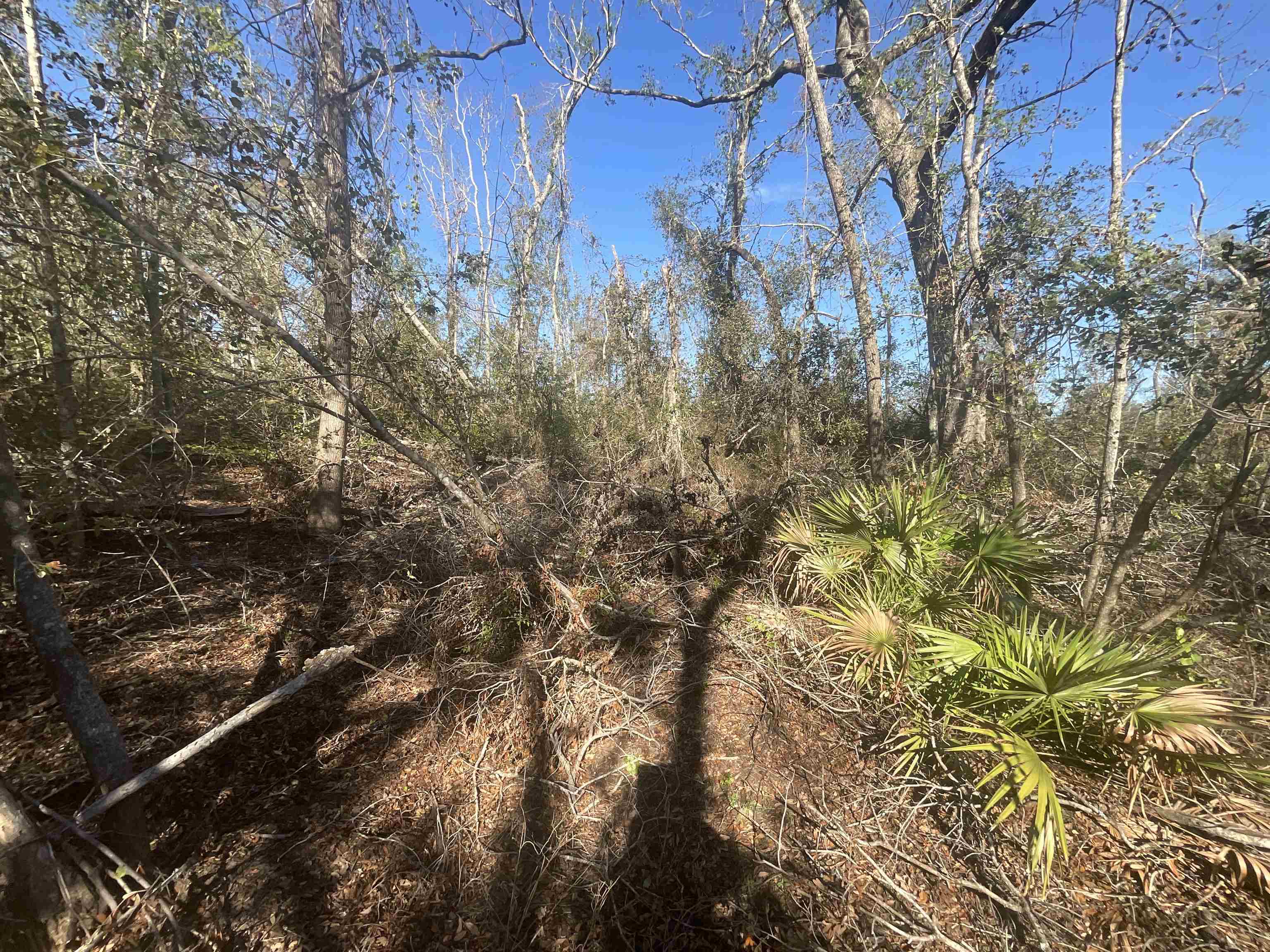 Vacant SE Blackhawk Drive, Lee, Florida image 36