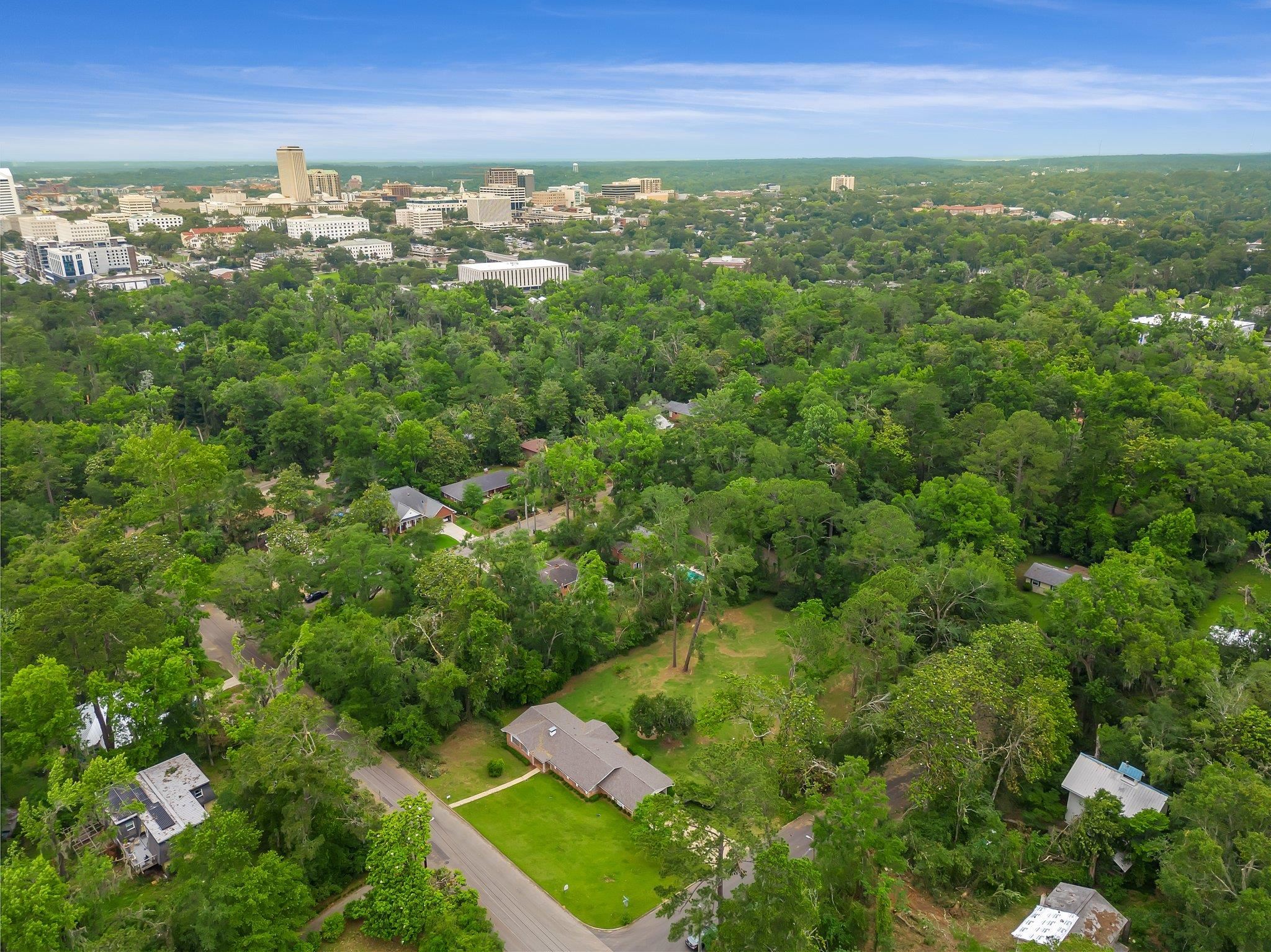 938 Carlton Drive, Tallahassee, Florida image 10