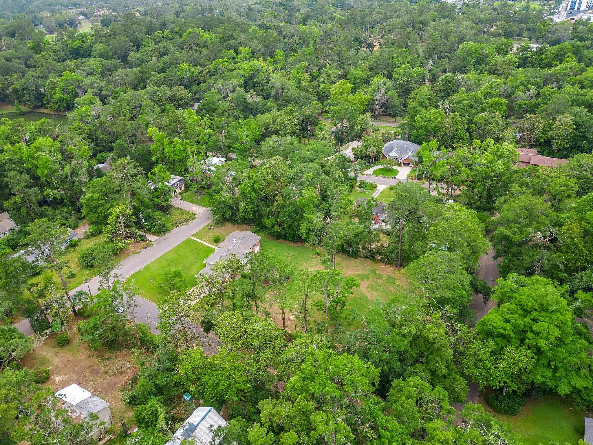 938 Carlton Drive, Tallahassee, Florida image 11