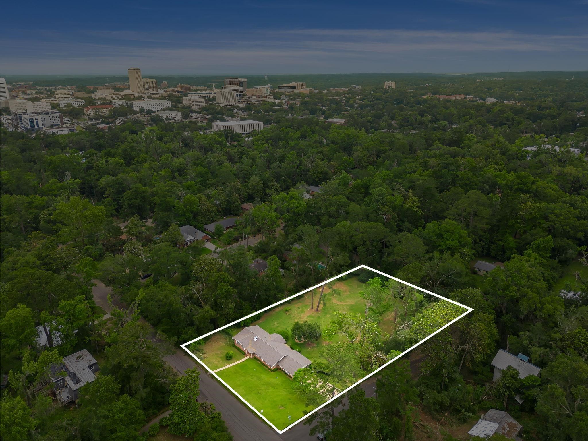 938 Carlton Drive, Tallahassee, Florida image 9