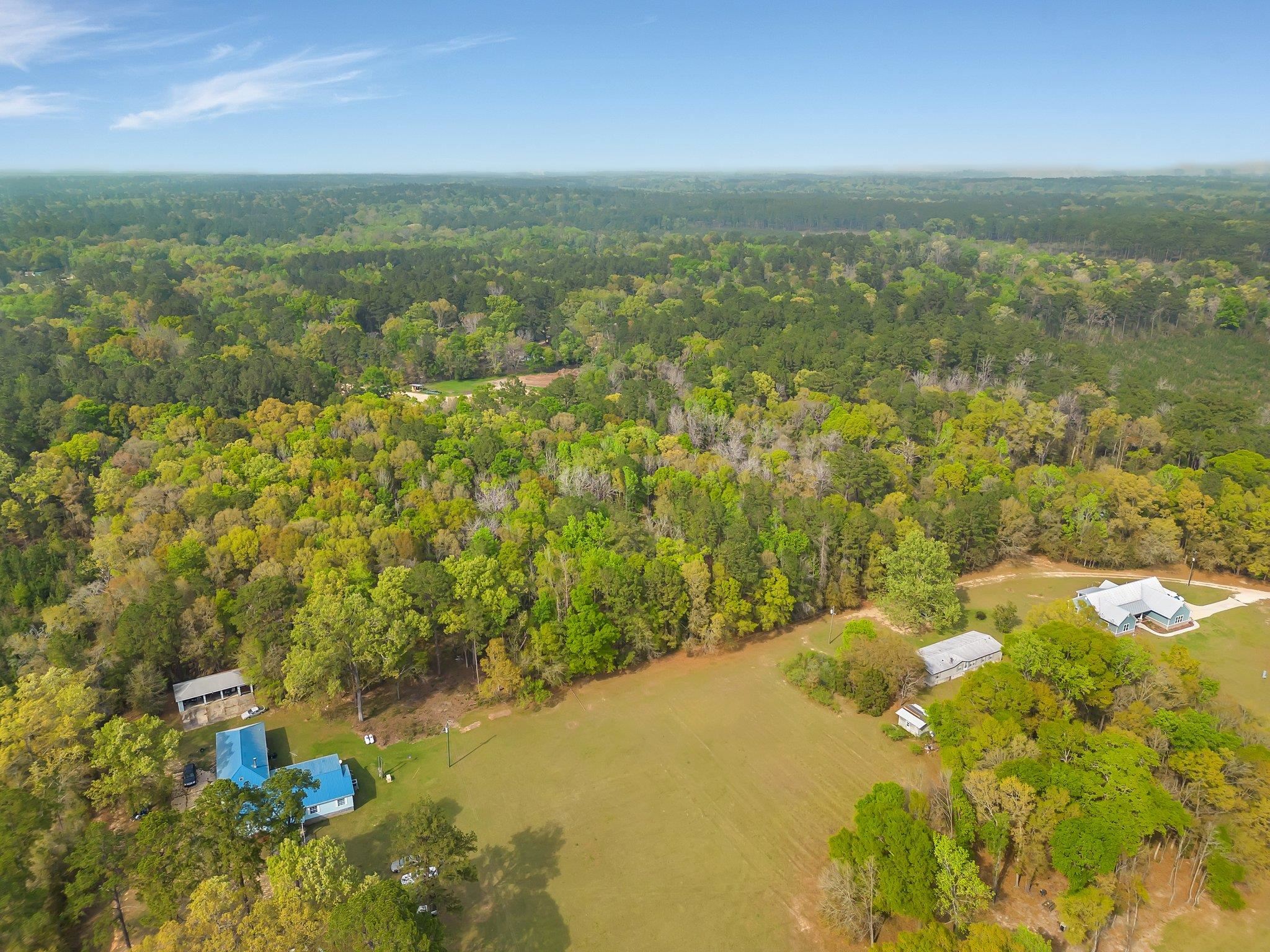 Wiley Road, Tallahassee, Florida image 4