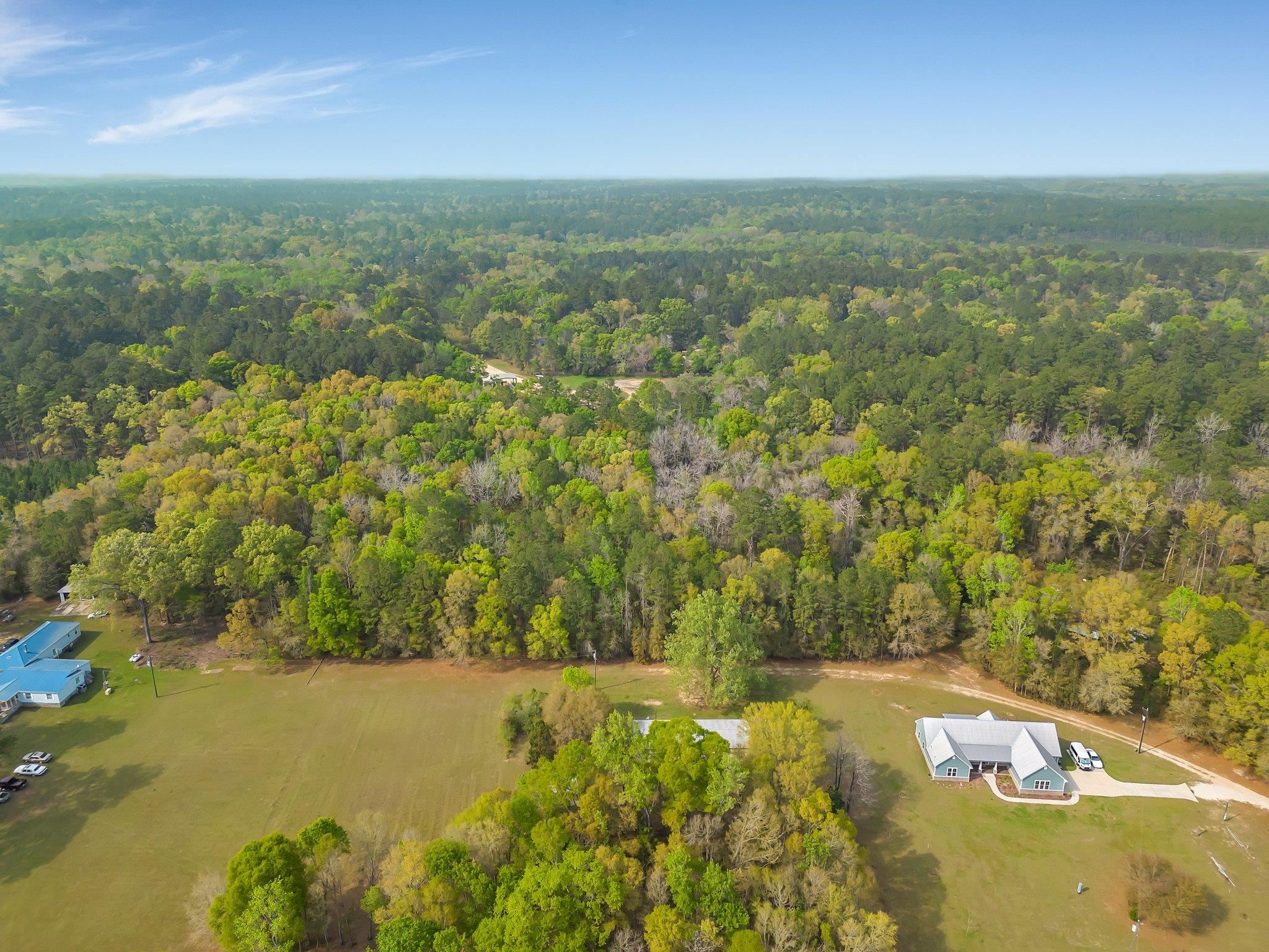 Wiley Road, Tallahassee, Florida image 6