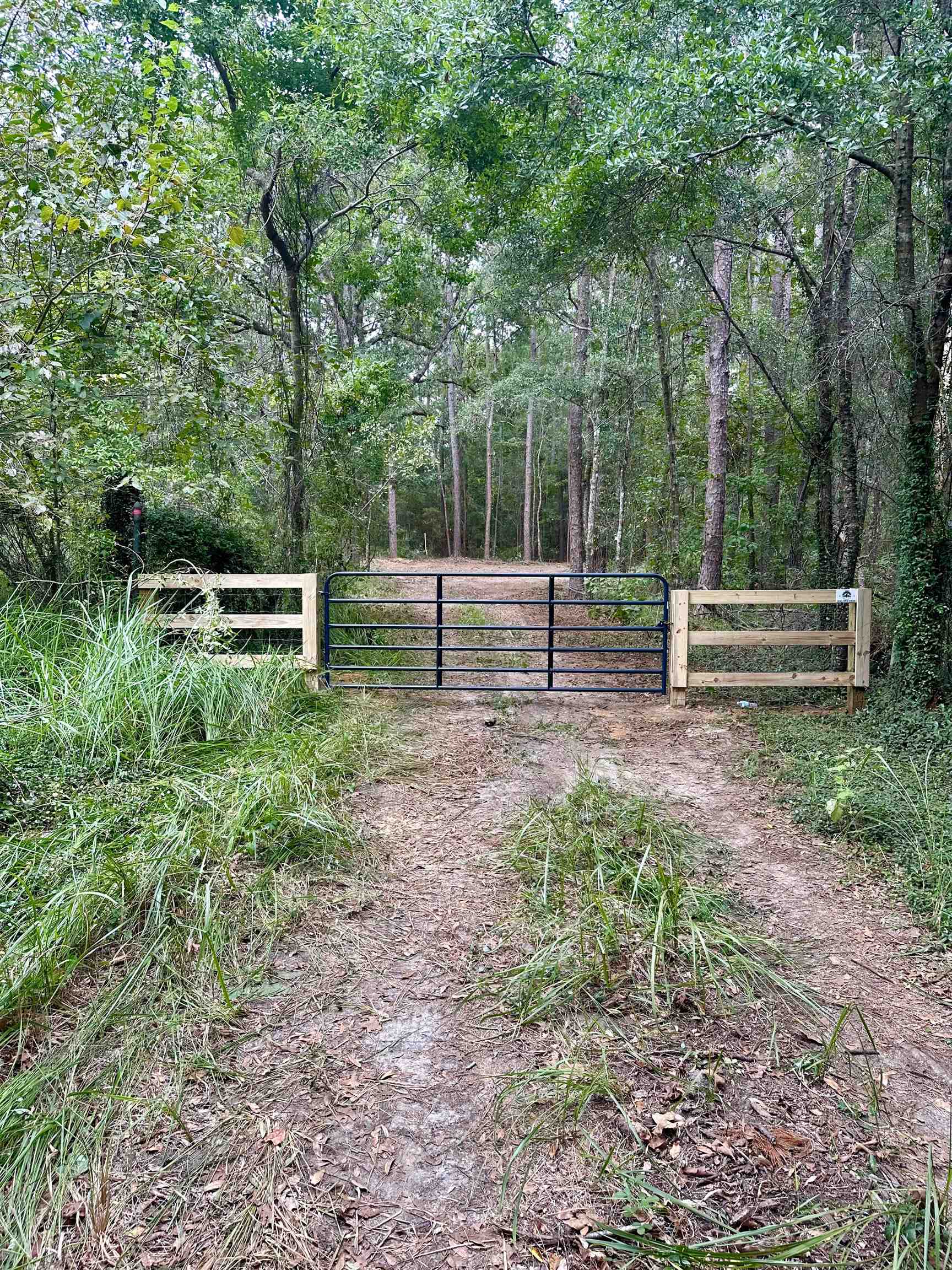 Wiley Road, Tallahassee, Florida image 9