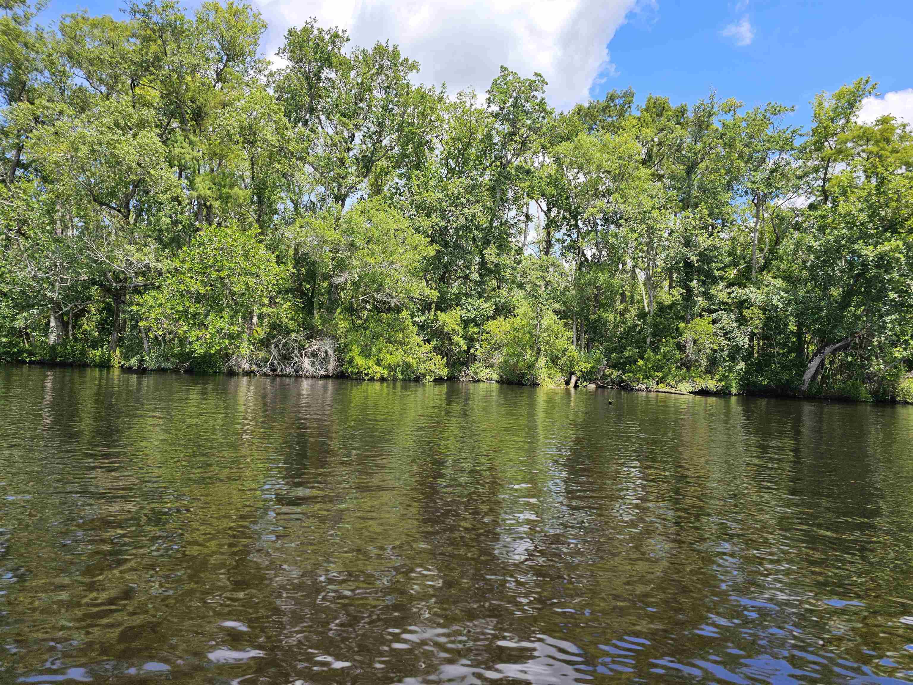 X Pamela Place, Sopchoppy, Florida image 9