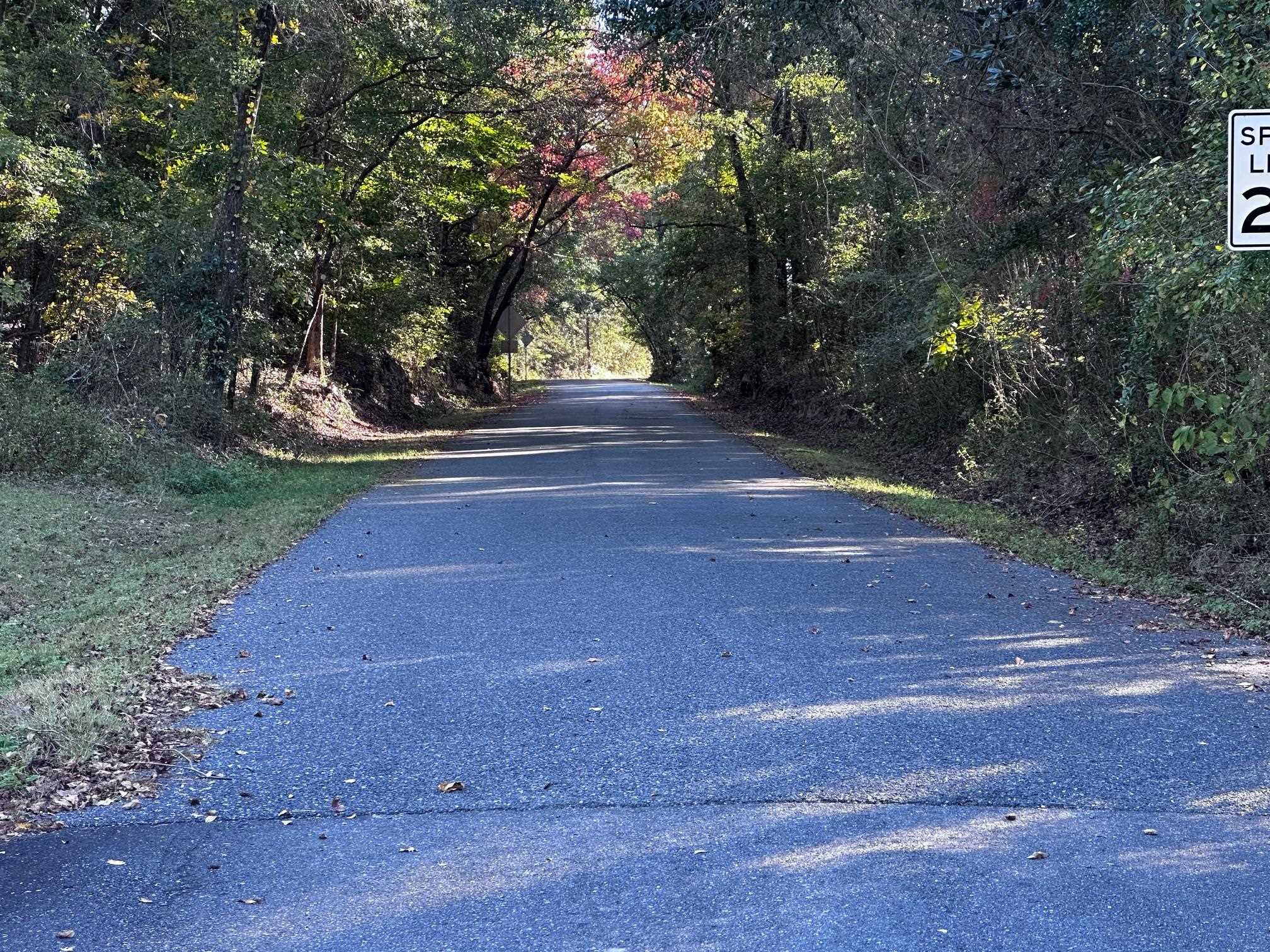 Blountstown Hwy 20 Highway, Tallahassee, Florida image 8