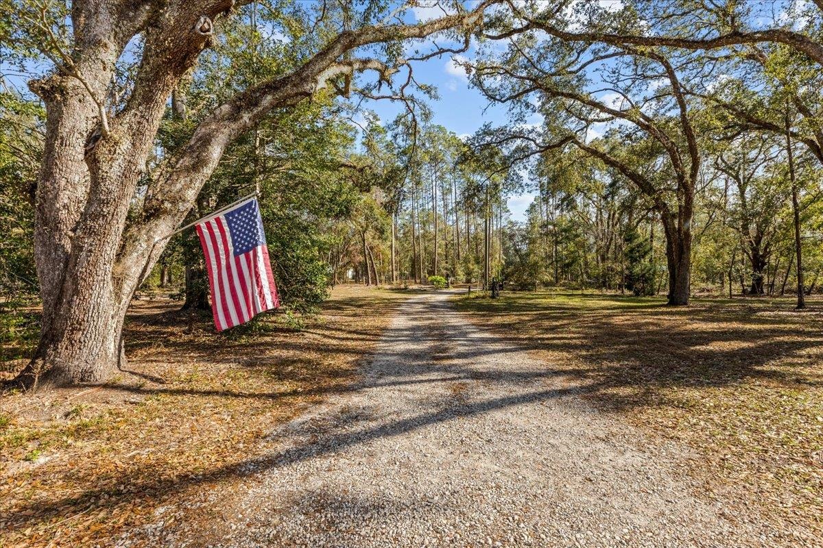 14795 94th Path, Live Oak, Florida image 31