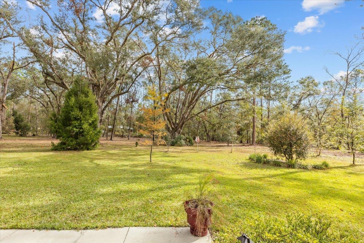 14795 94th Path, Live Oak, Florida image 32