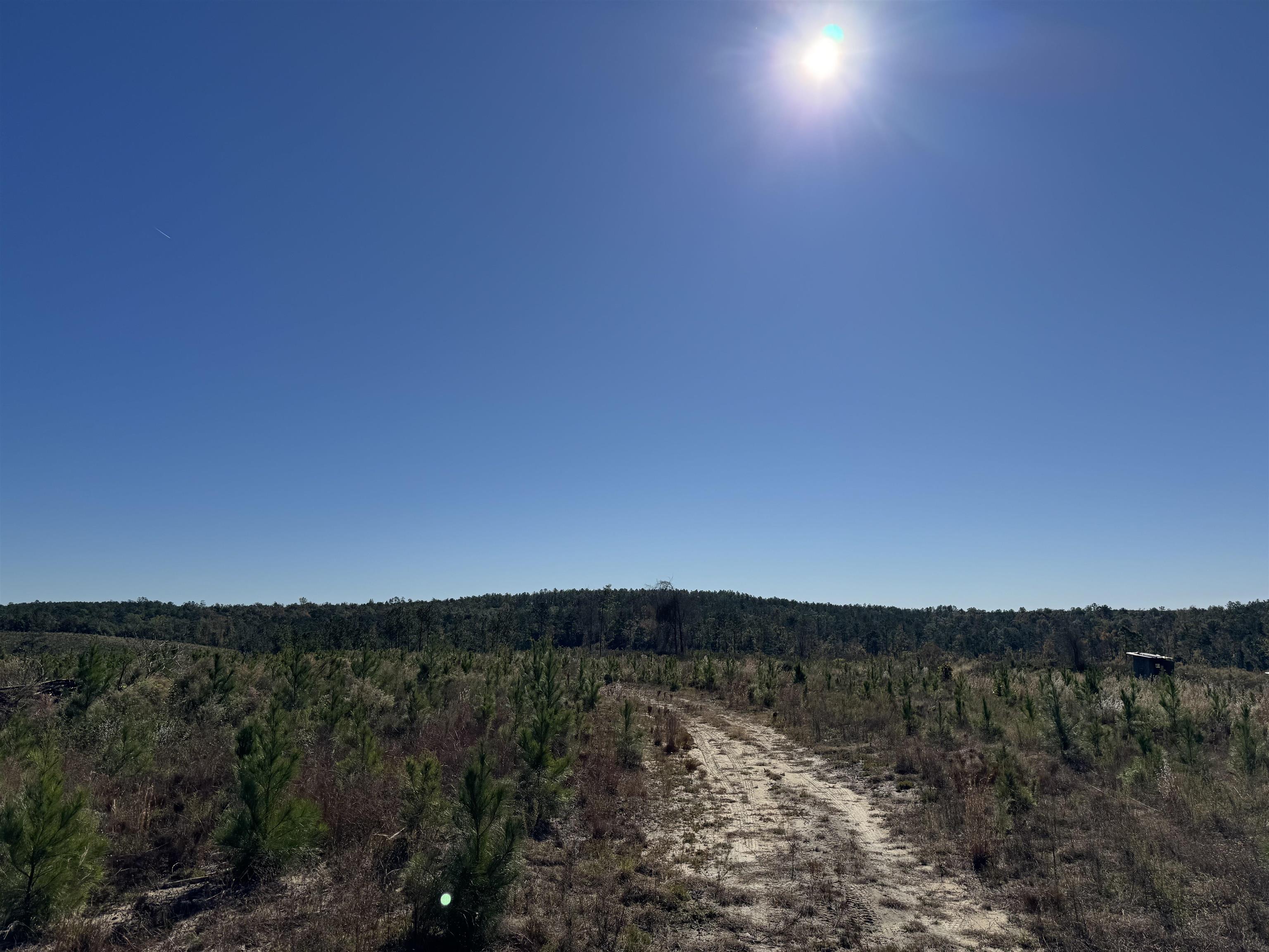 Aspalaga Road, Chattahoochee, Florida image 1