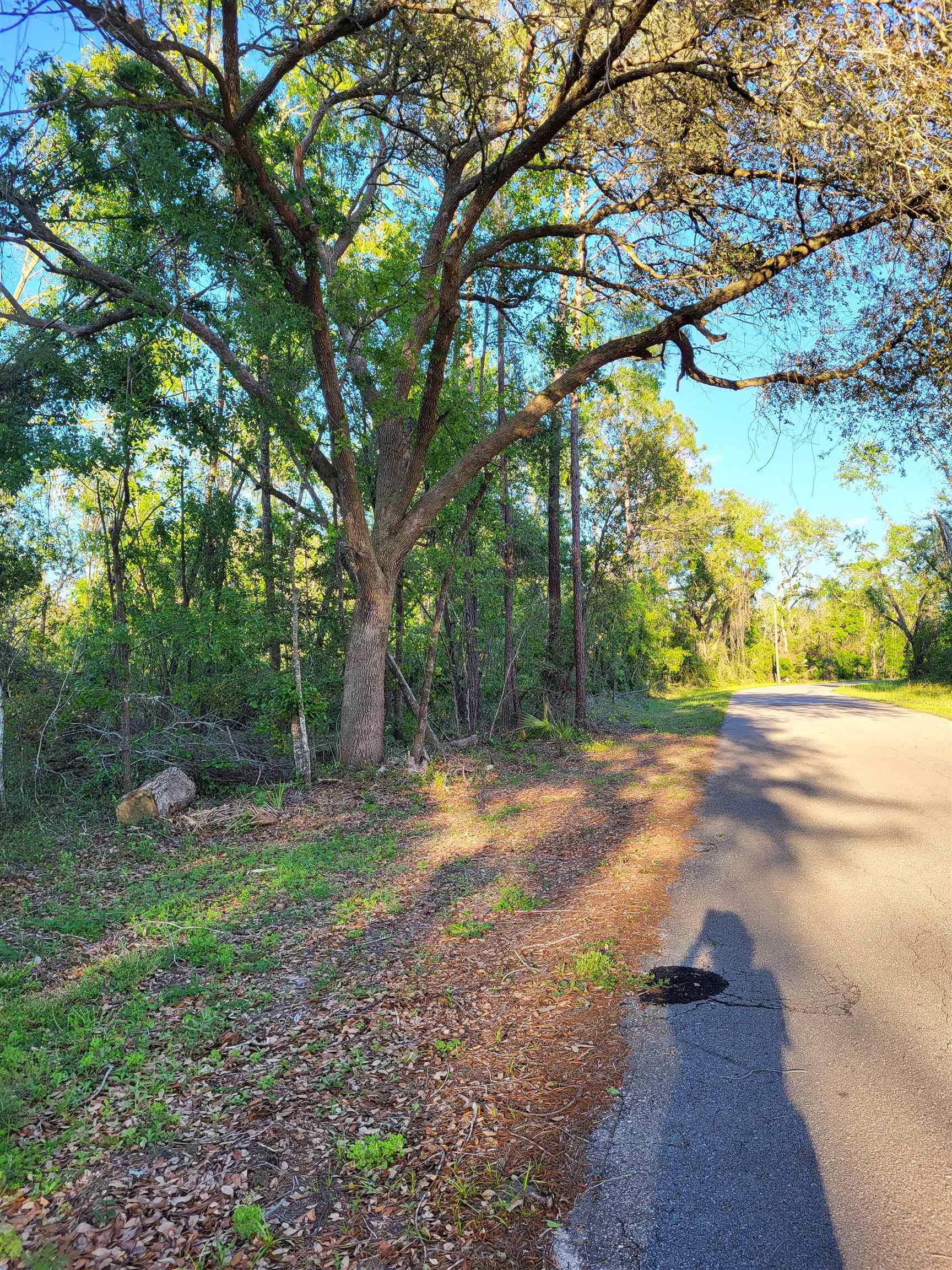 Lot 8586 Canopy Lane, Perry, Florida image 2