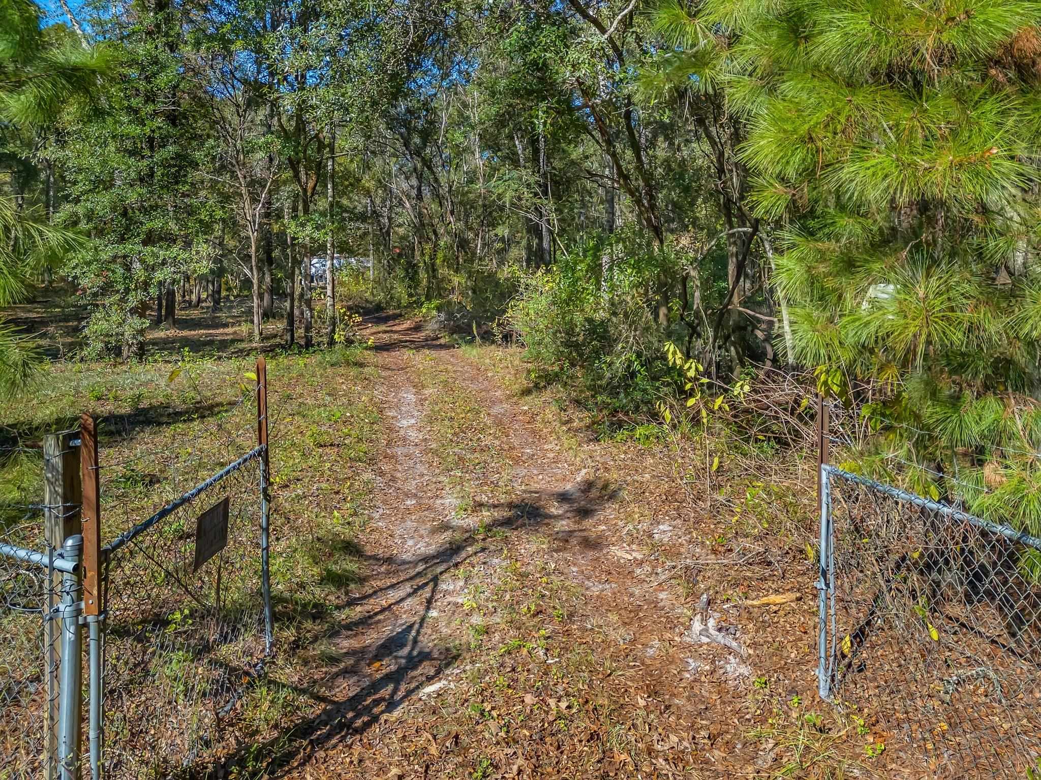 1873 Wax Myrtle Road, Tallahassee, Florida image 1