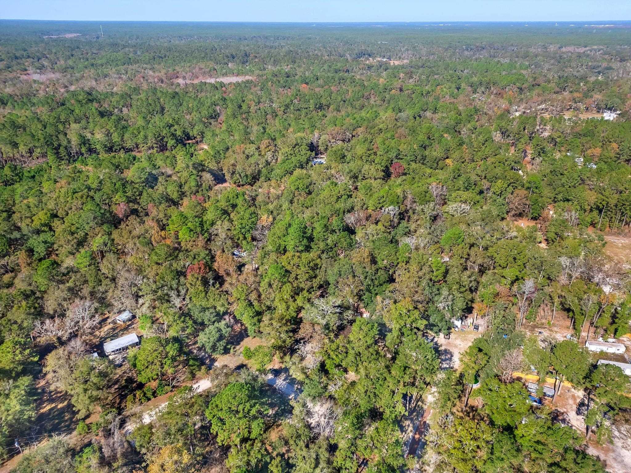 1873 Wax Myrtle Road, Tallahassee, Florida image 4