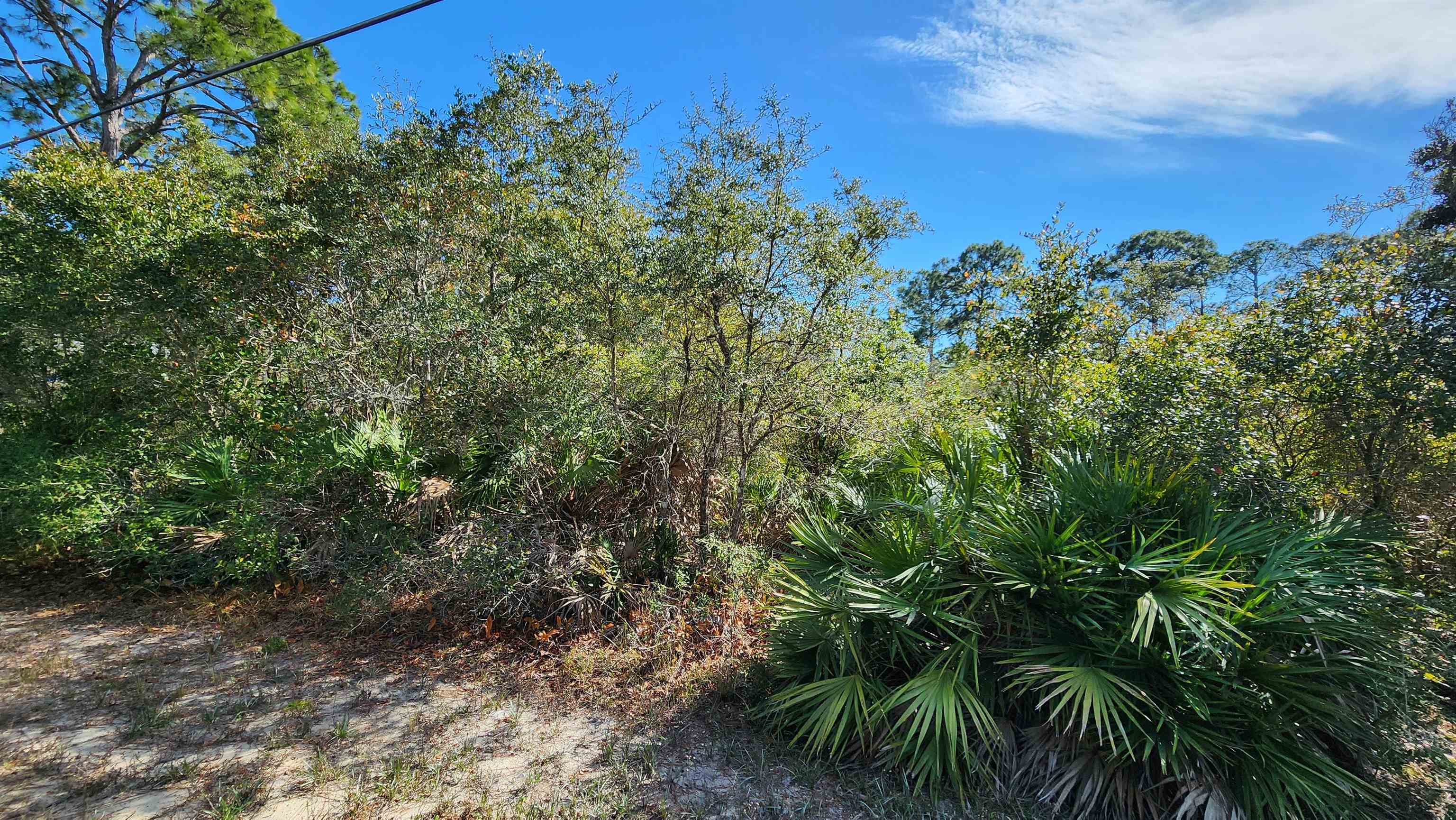 Lot 19 Monocoupe Drive, Panacea, Florida image 1