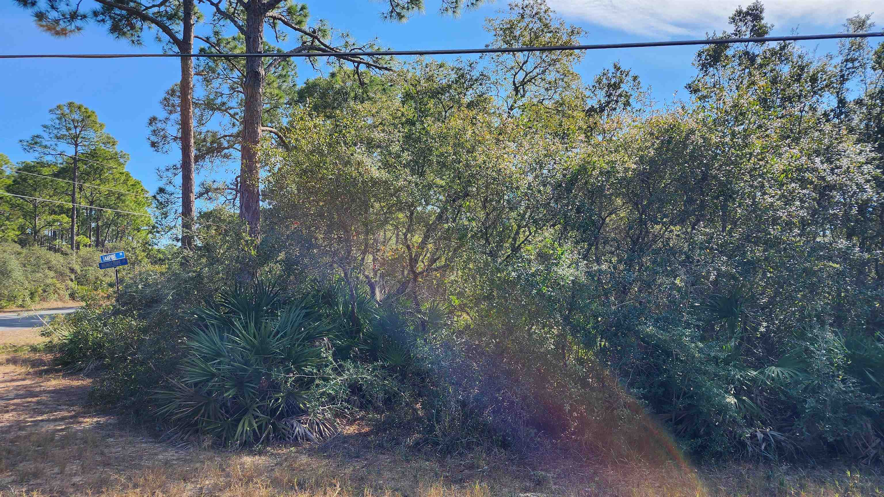 Lot 19 Monocoupe Drive, Panacea, Florida image 3