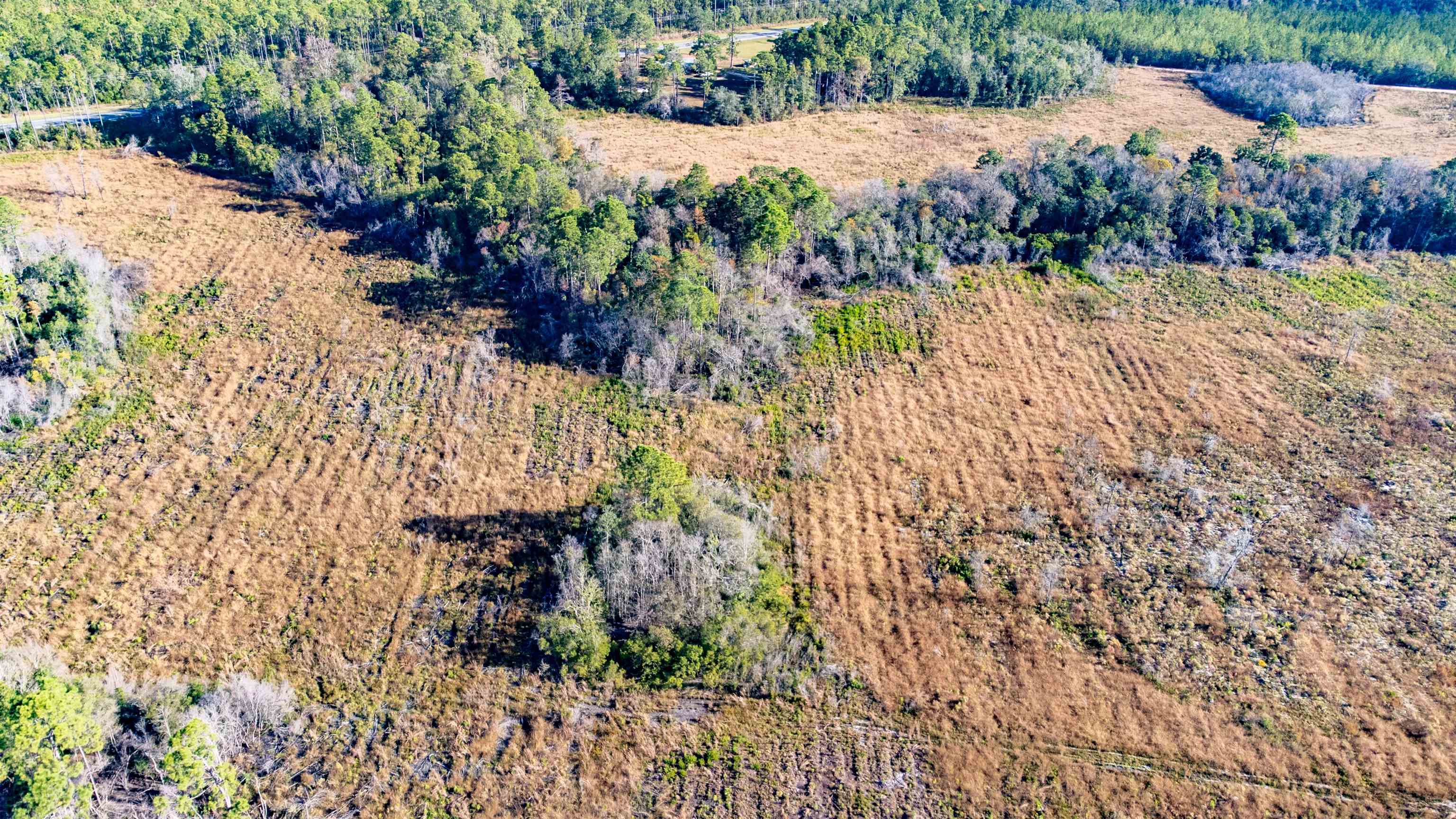 001 Hwy 20, Hosford, Florida image 8