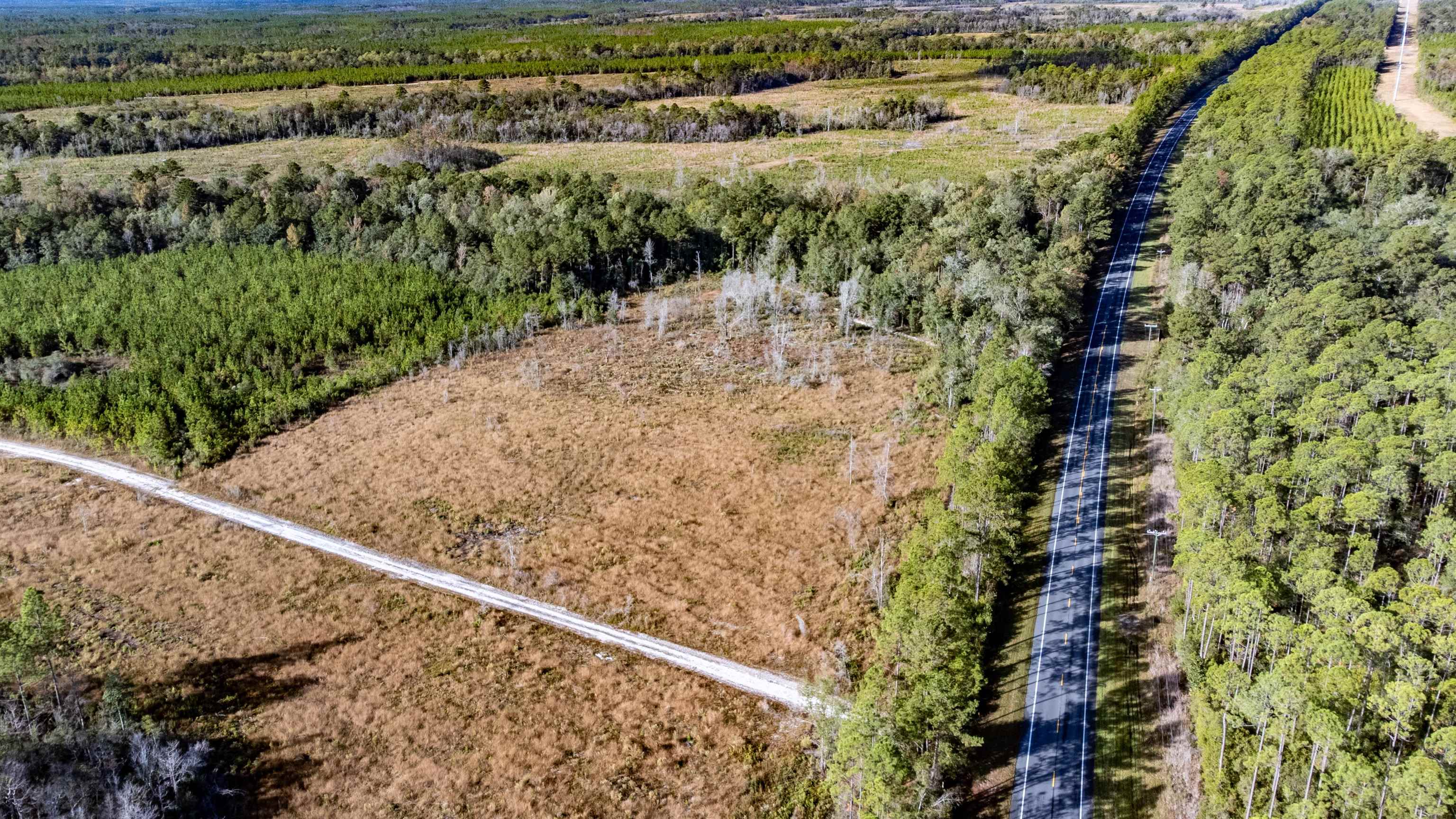 001 Hwy 20, Hosford, Florida image 9