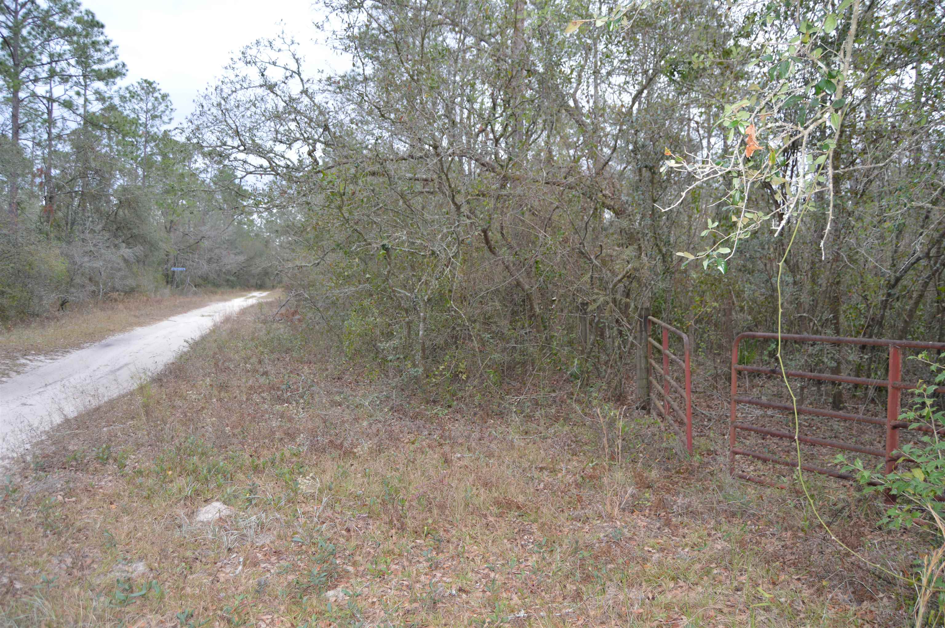 388 NE River Ridge Way, Lee, Florida image 9