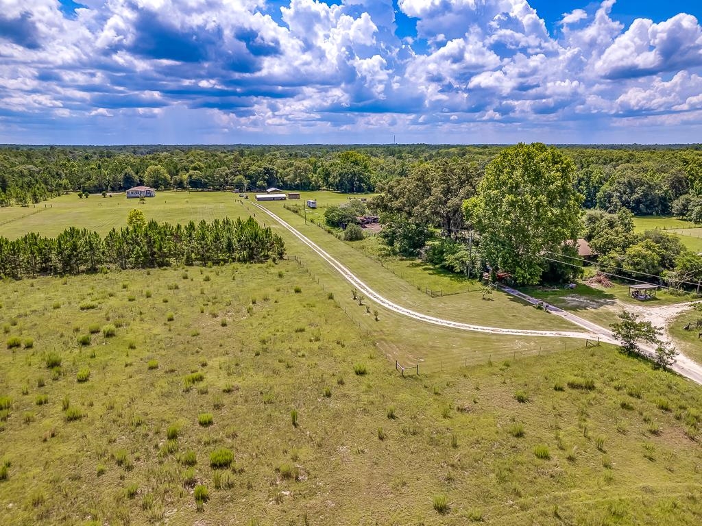 1714 Crawfordville Highway, Crawfordville, Florida image 36