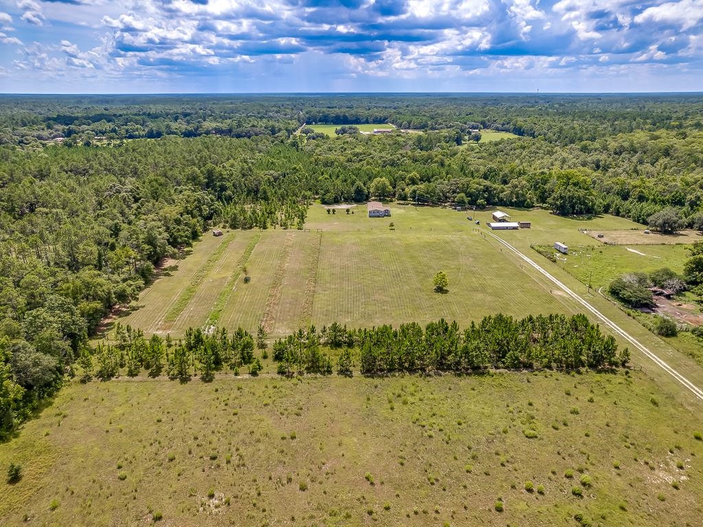 1714 Crawfordville Highway, Crawfordville, Florida image 37